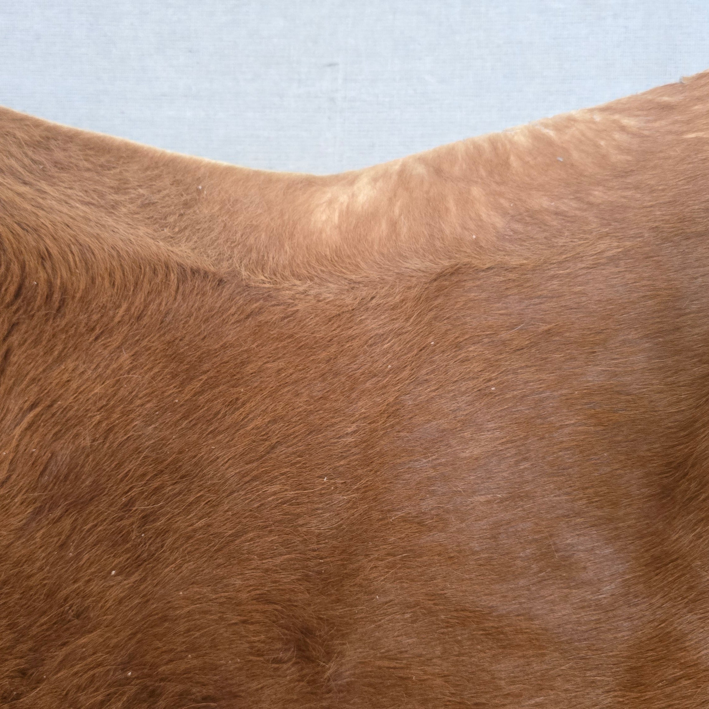 Reliable Brown Cowhide Handmade in Brazil