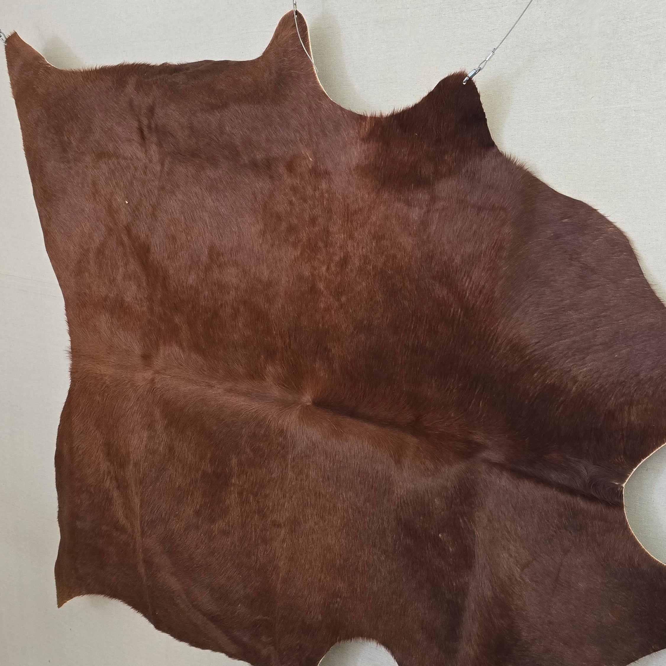 Sophisticated Rustic Brown Cowhide Handcrafted in Argentina