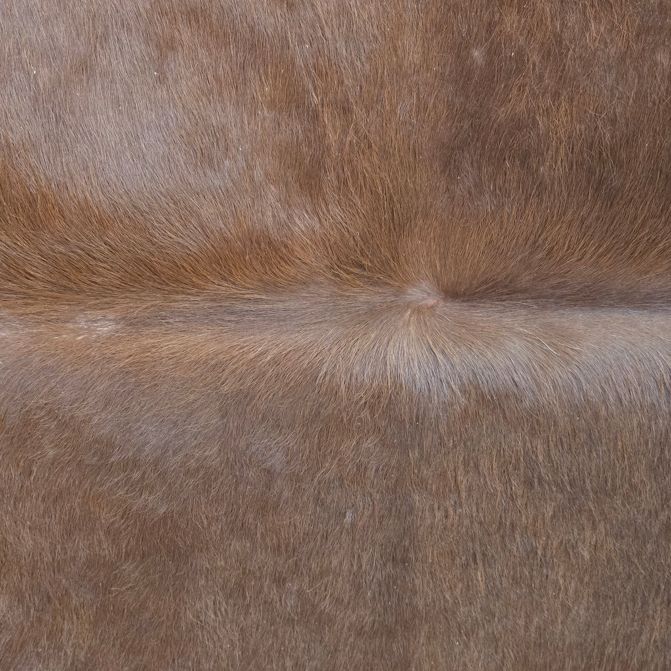Sophisticated Rustic Brown Cowhide Handcrafted in Argentina