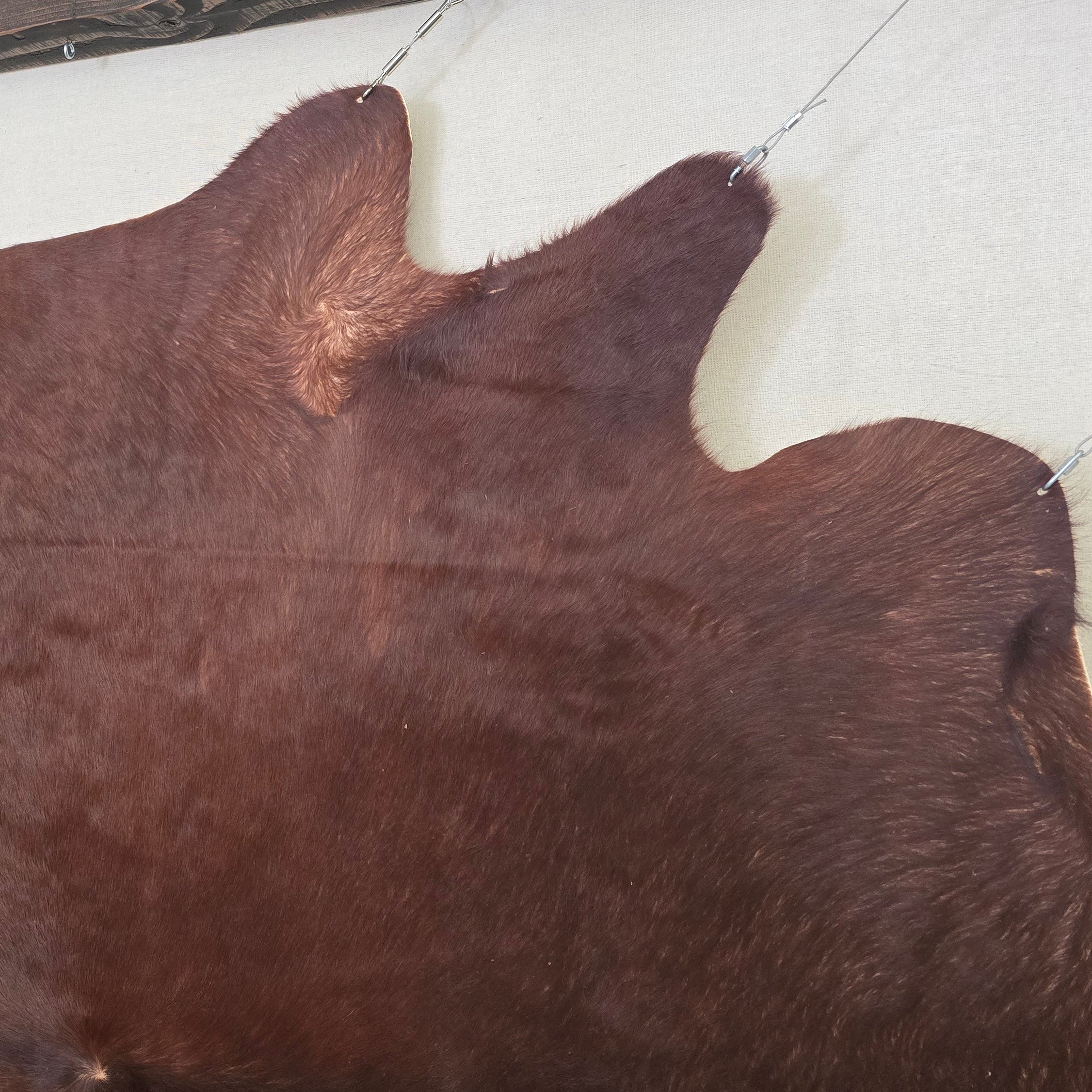 Remarkable Brown Cowhide Handmade By Artisan in Brazil