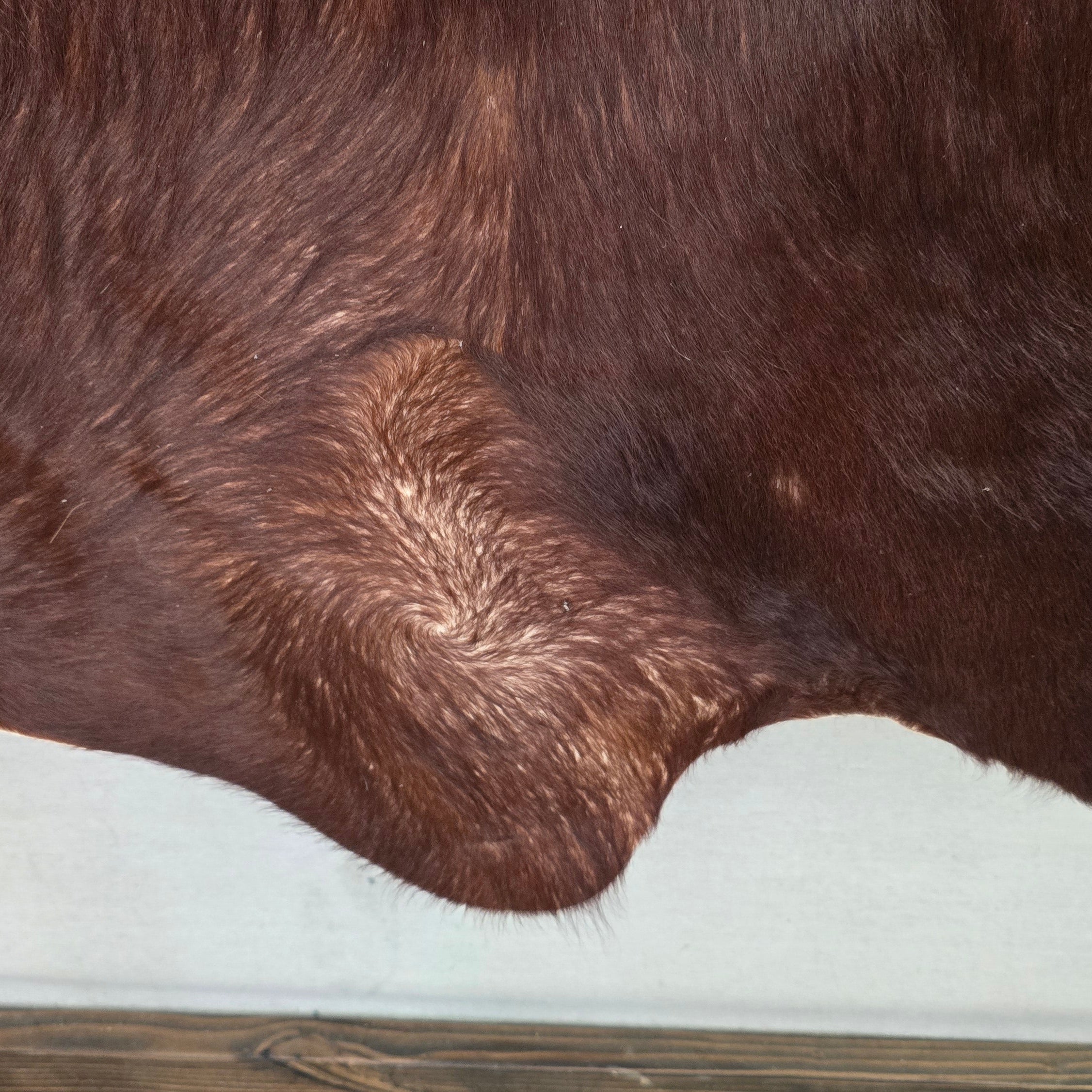 Remarkable Brown Cowhide Handmade By Artisan in Brazil
