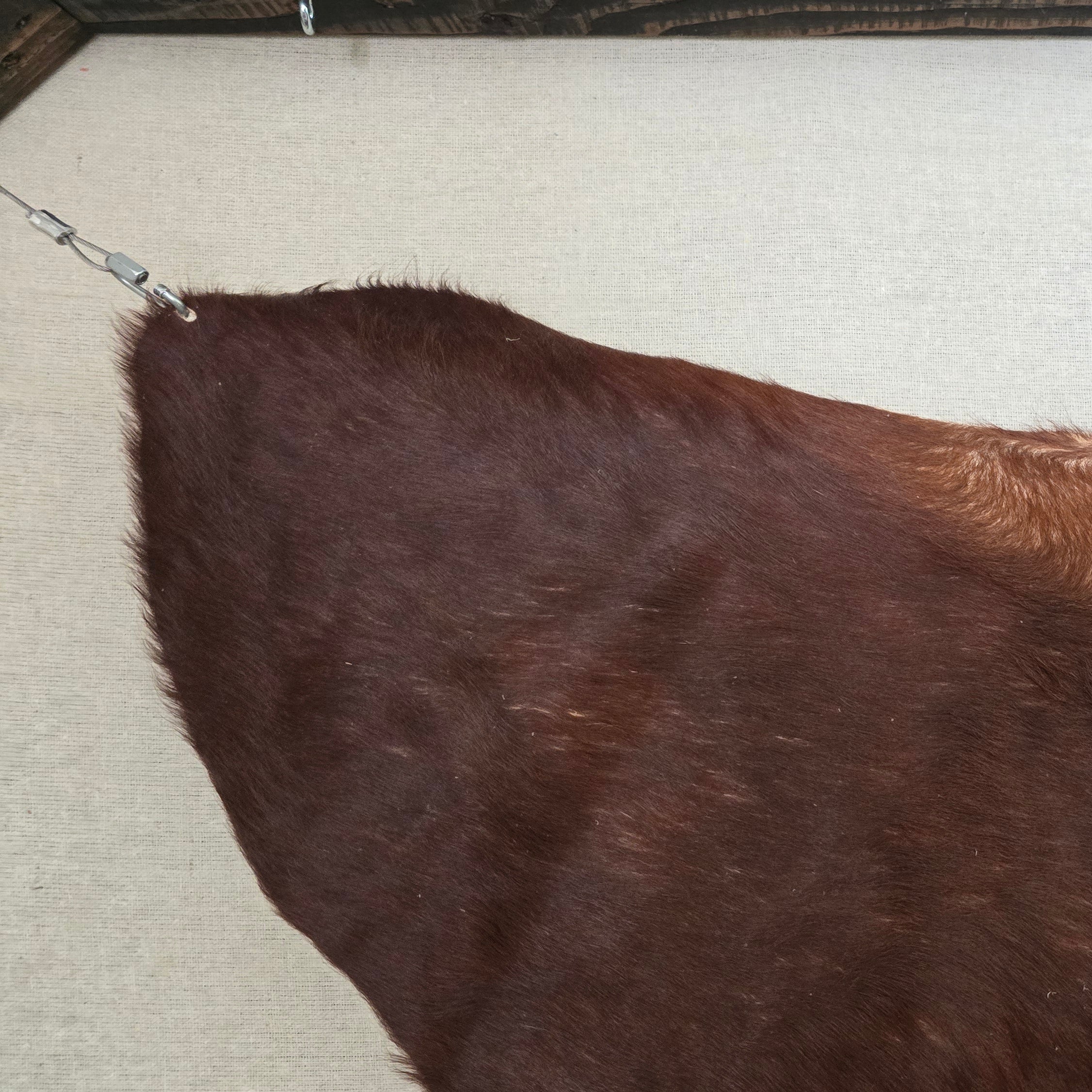 Remarkable Brown Cowhide Handmade By Artisan in Brazil
