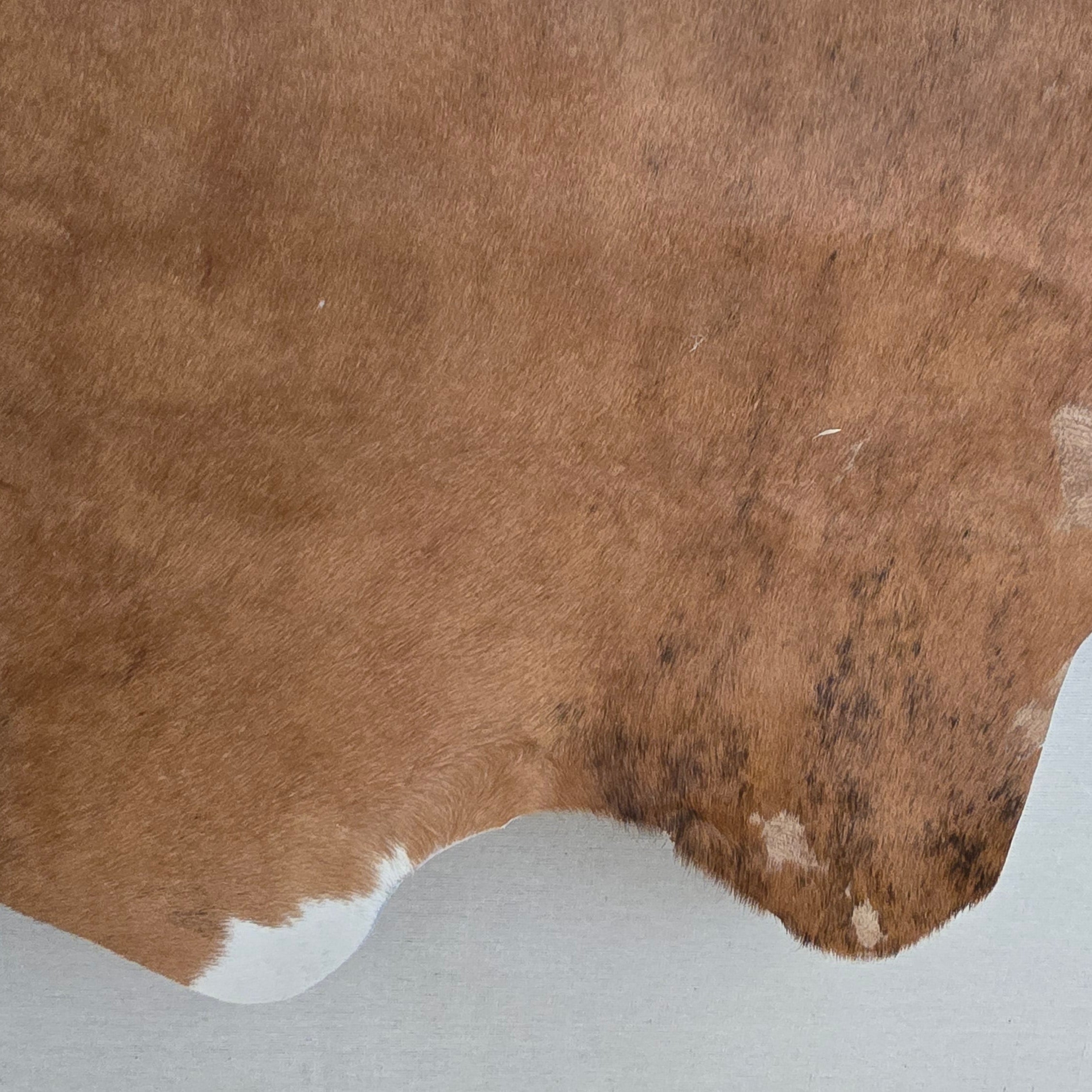 Natural Brown Cowhide Handcrafted in Brazil