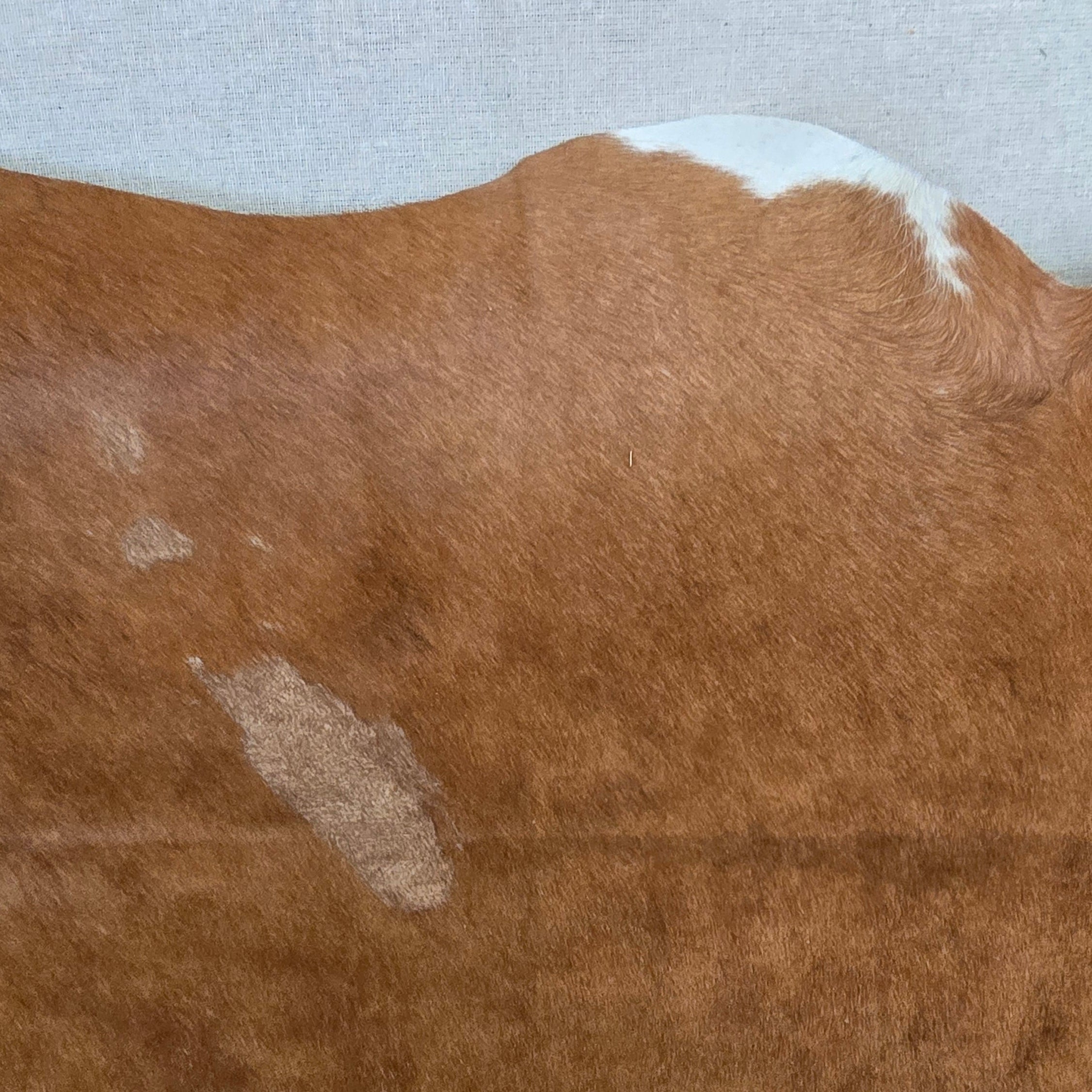 Natural Brown Cowhide Handcrafted in Brazil