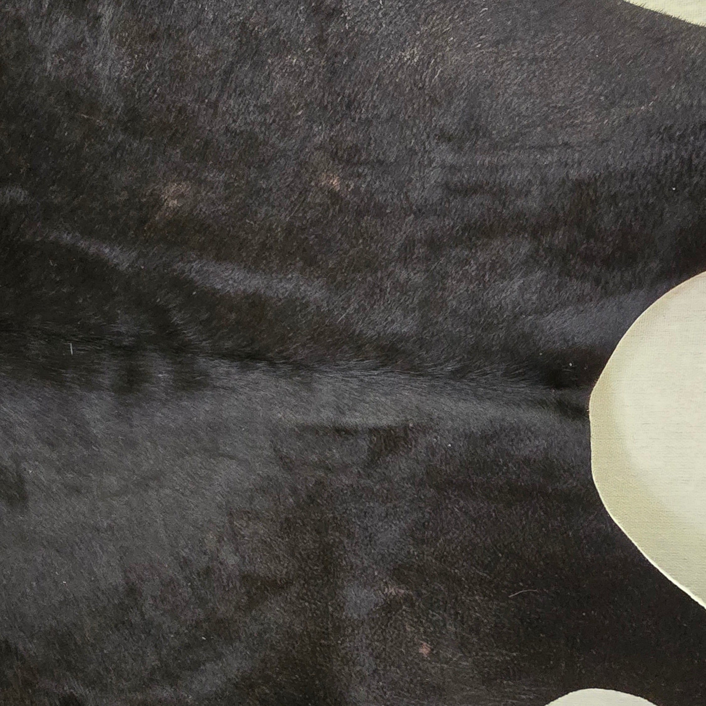 Eccentric Black Cowhide Handmade in Argentina