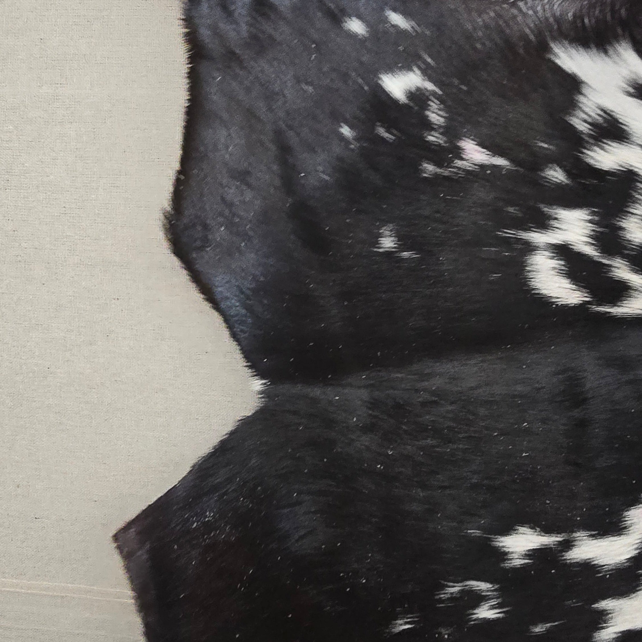 Handcrafted Black and White Goatskin Hide