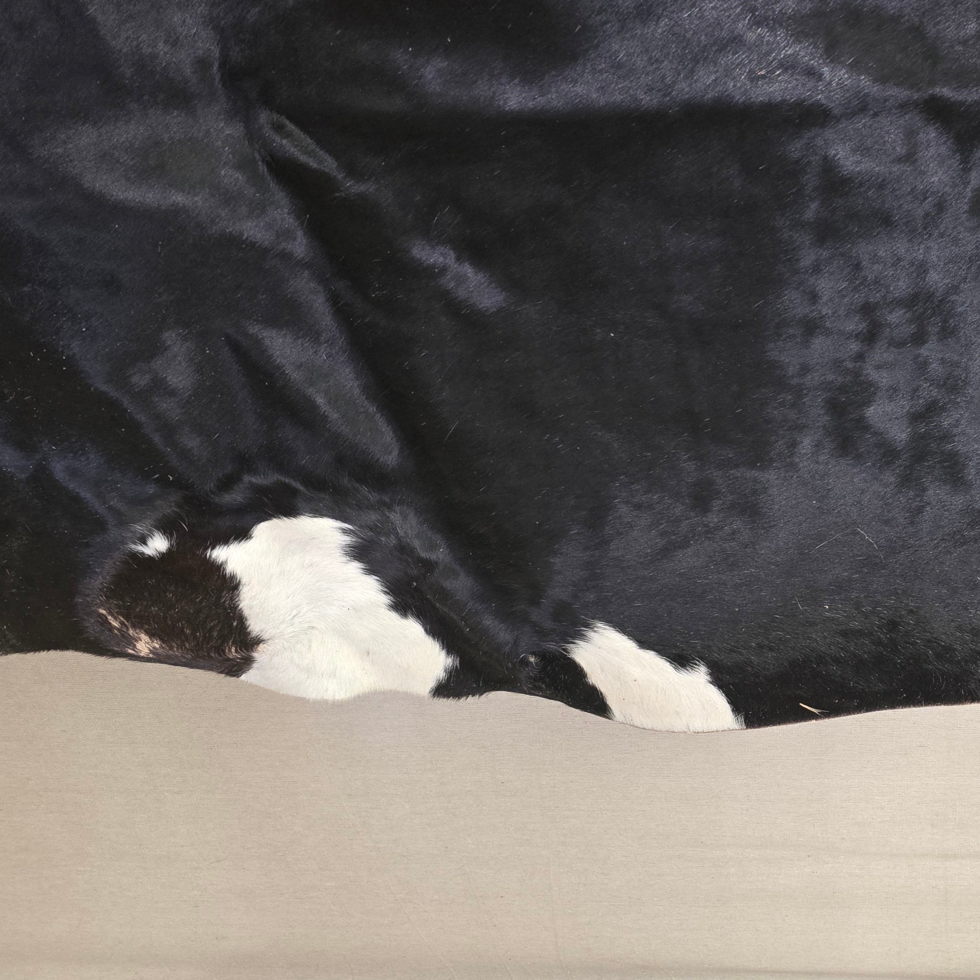 Vivid Black Cowhide Handmade in Brazil