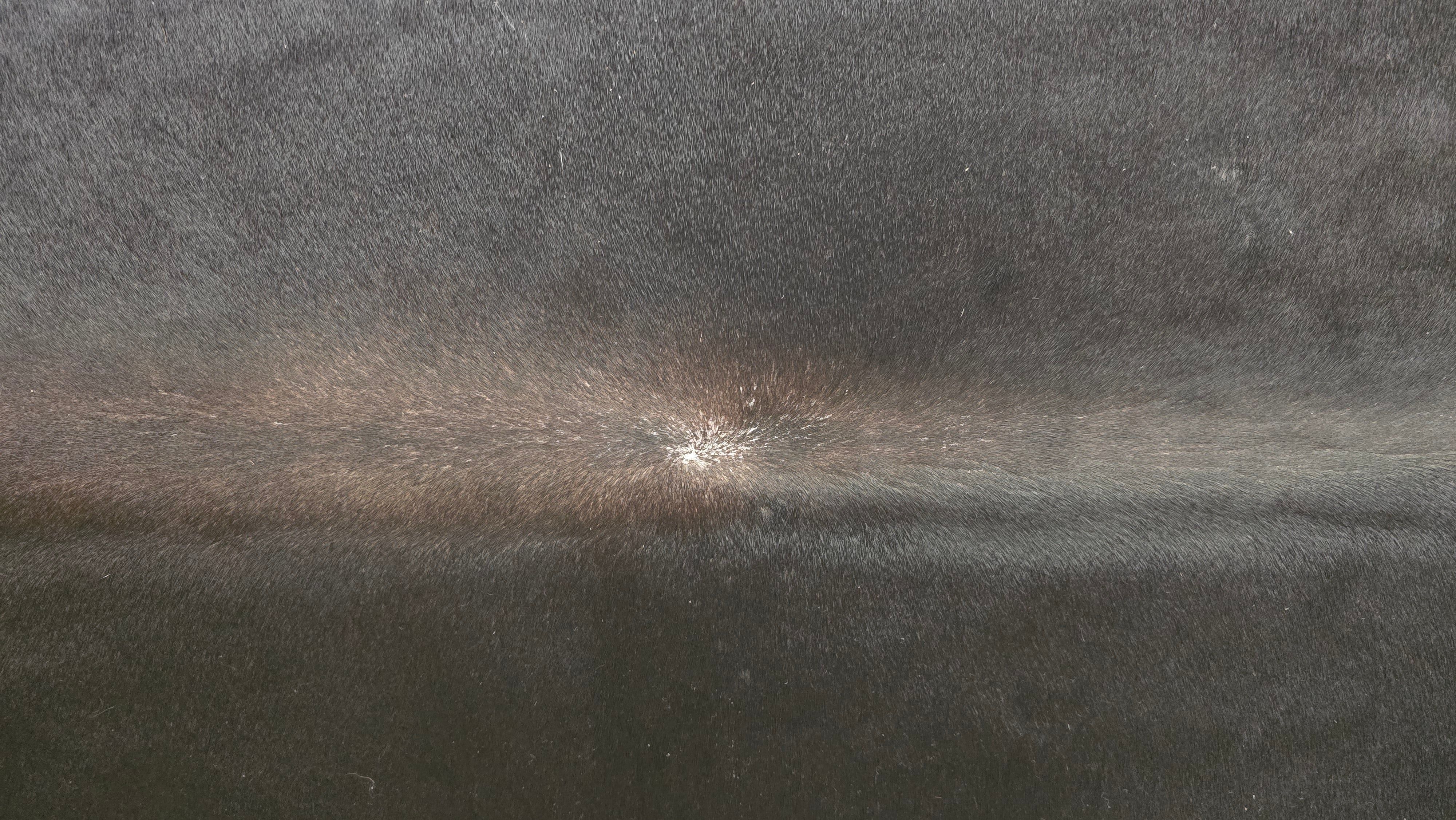 Elegant Black Cowhide Rug Handmade in Brazil