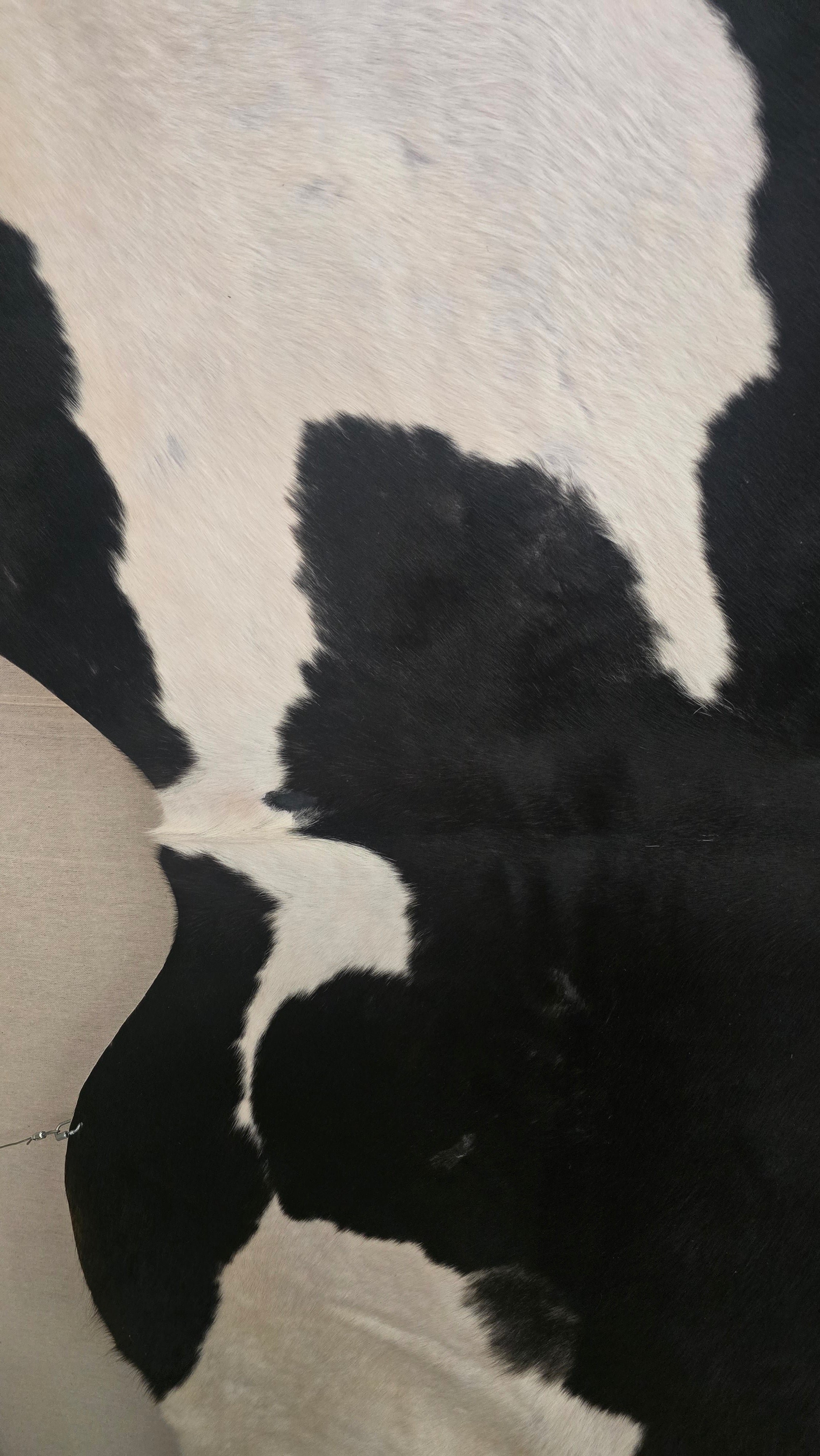 Genuine Black and White Cowhide Handmade in Brazil