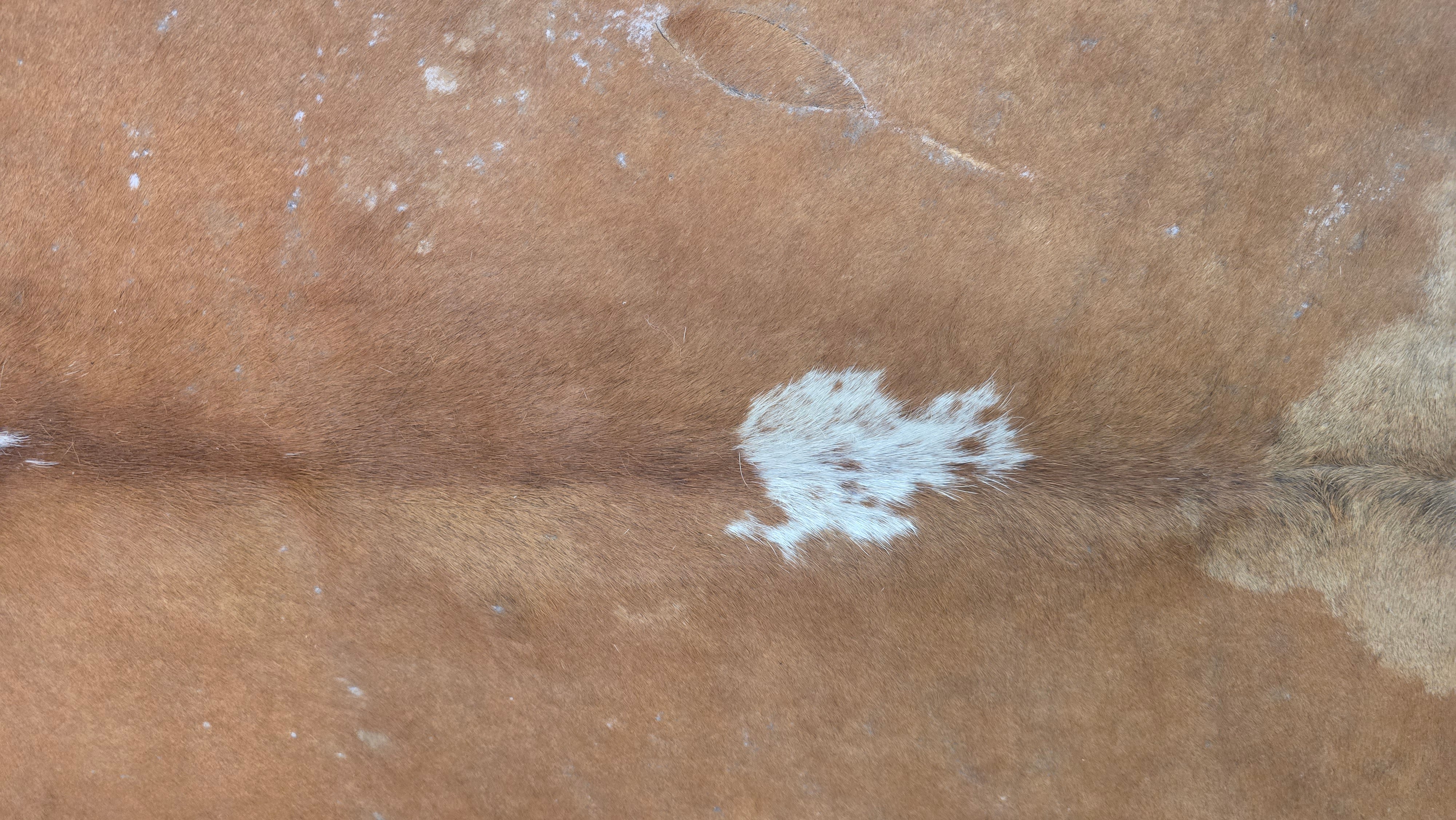 Natural Beige and White Cowhide Handcrafted in Brazil