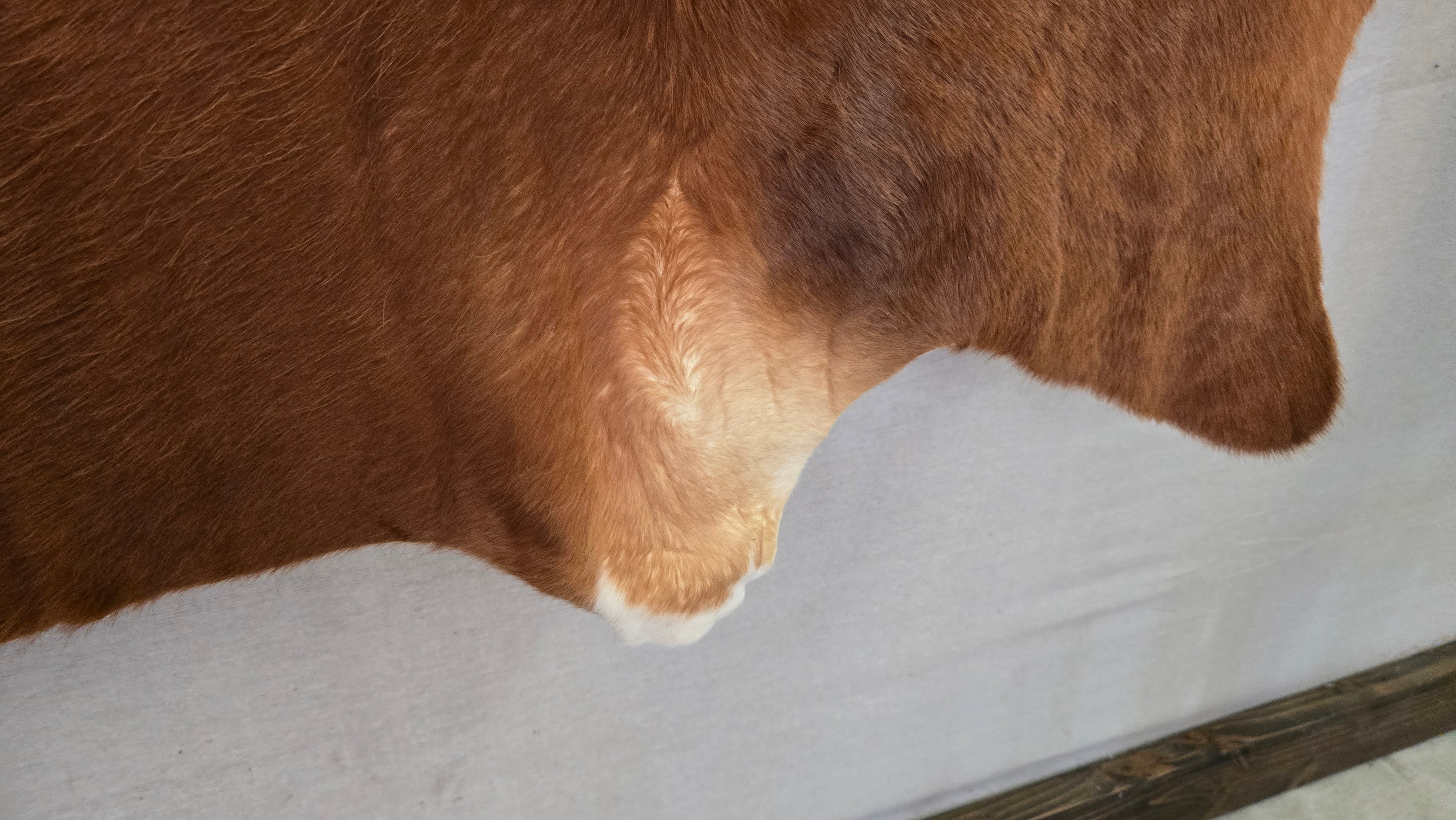 Remarkable Cinnamon Cowhide Made in Brazil