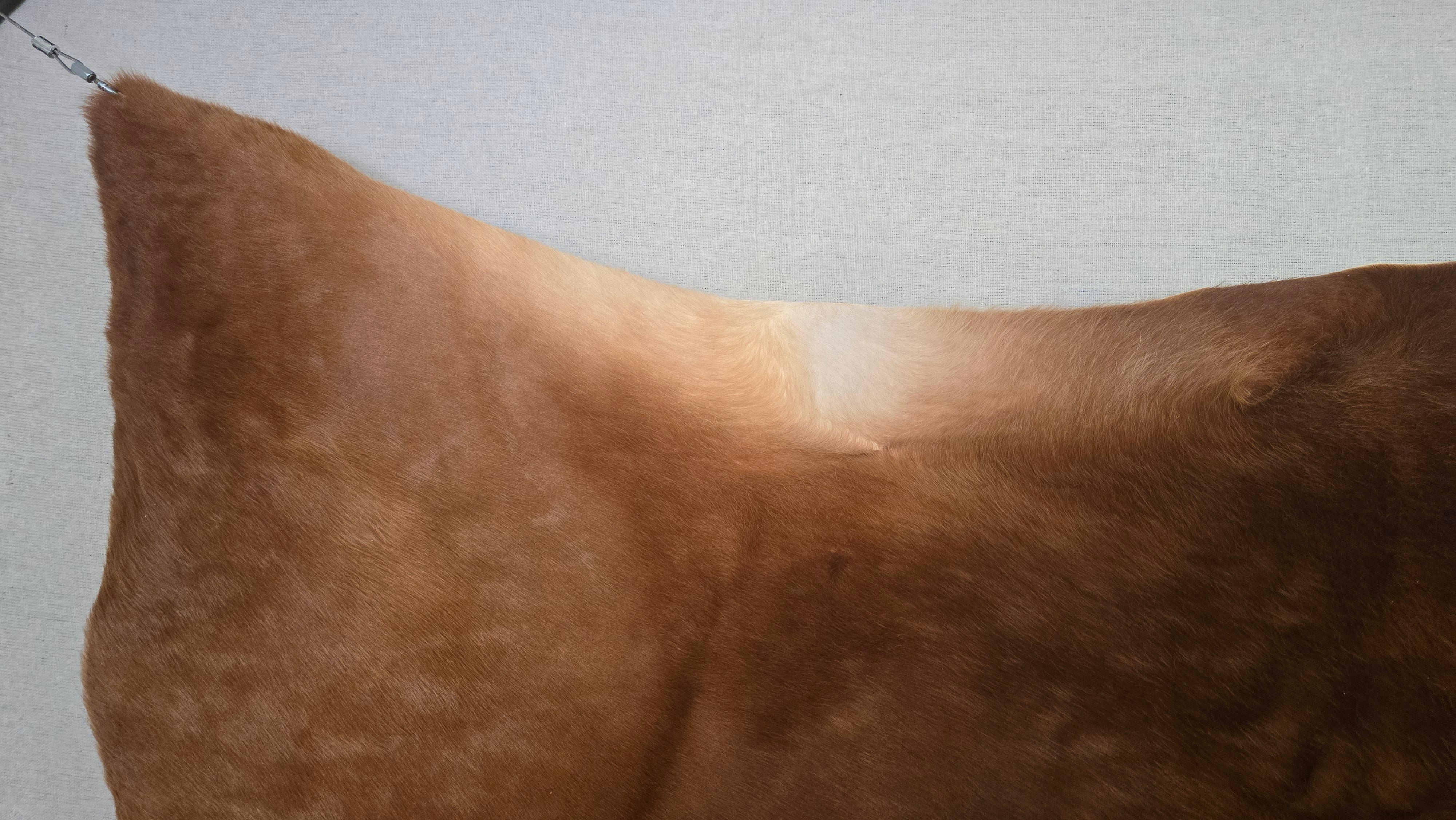 Remarkable Cinnamon Cowhide Made in Brazil