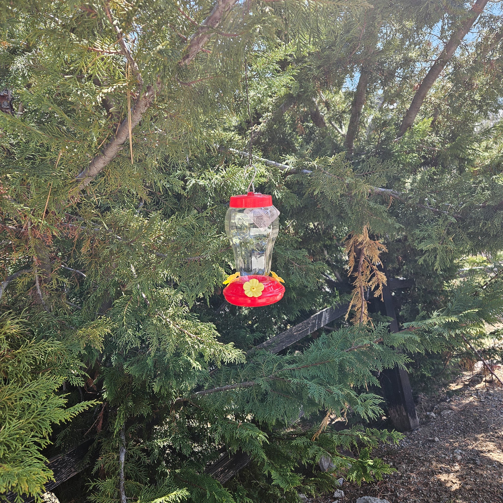 Plastic Hummingbird Feeder
