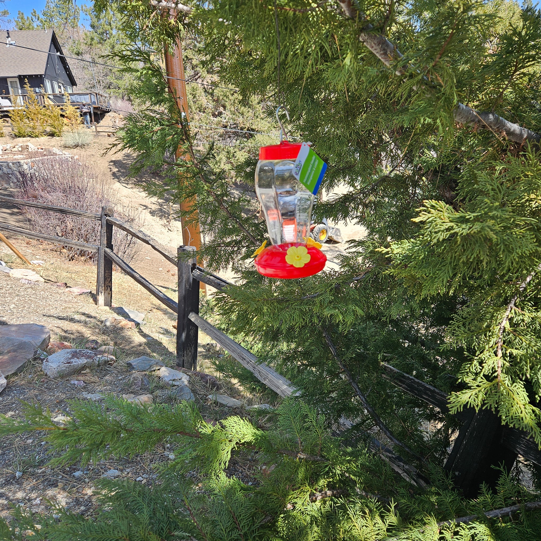 Plastic Hummingbird Feeder