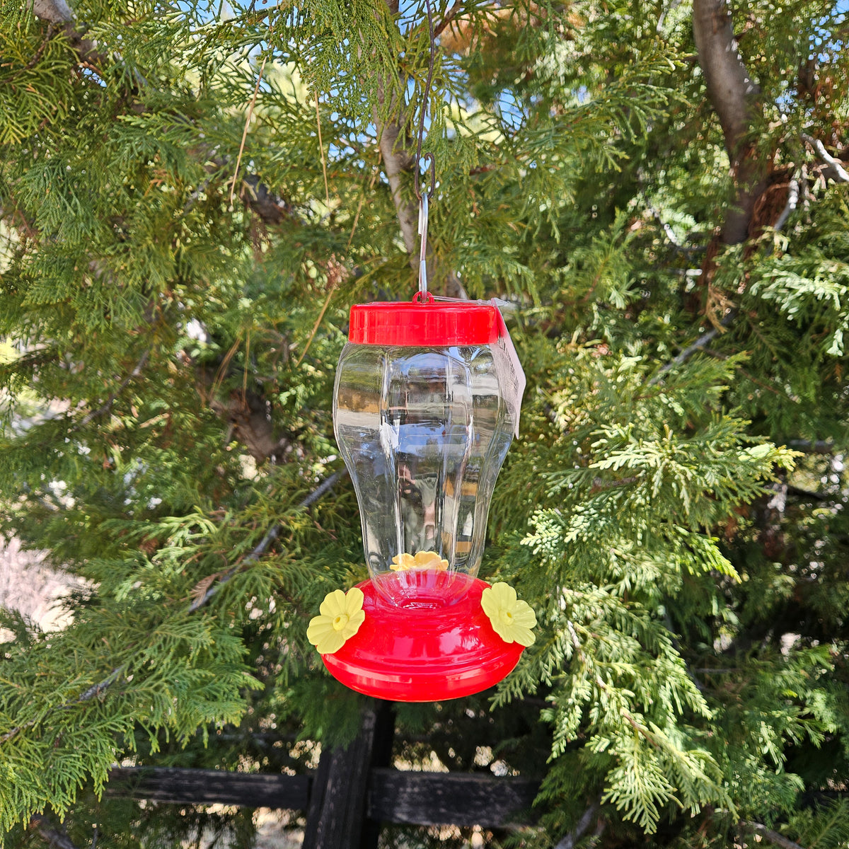 Plastic Hummingbird Feeder