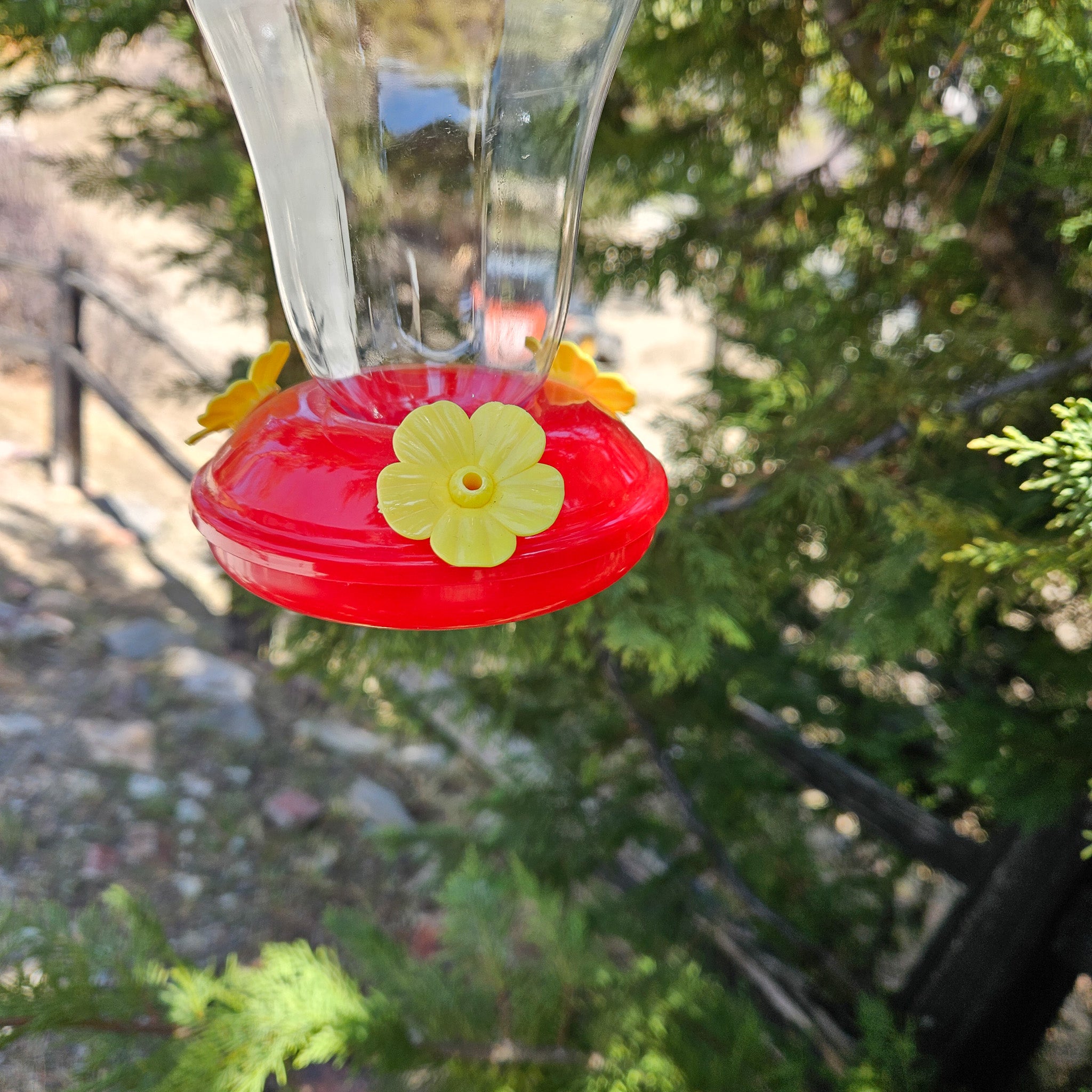 Plastic Hummingbird Feeder