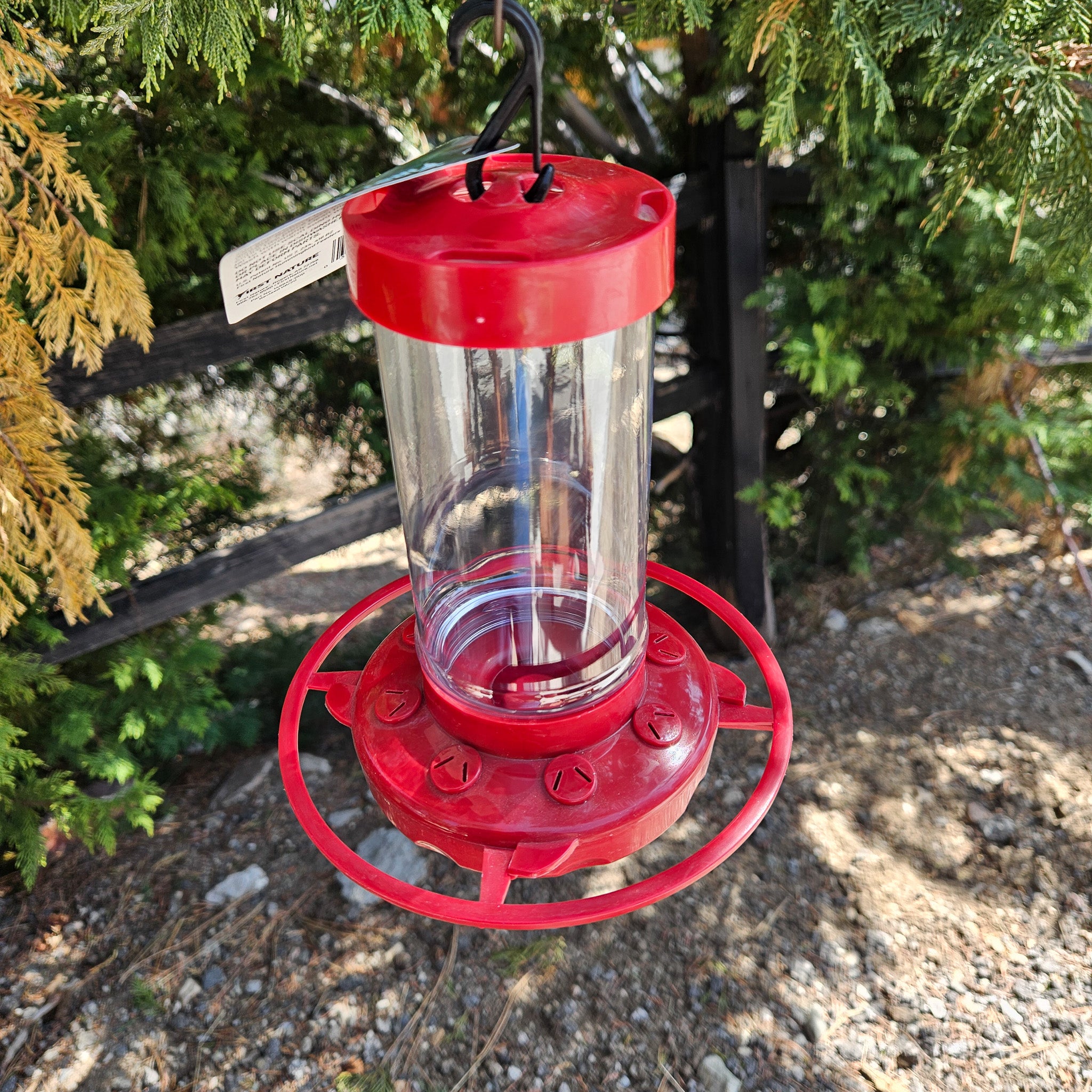 Hummingbird Feeded 6" Tall