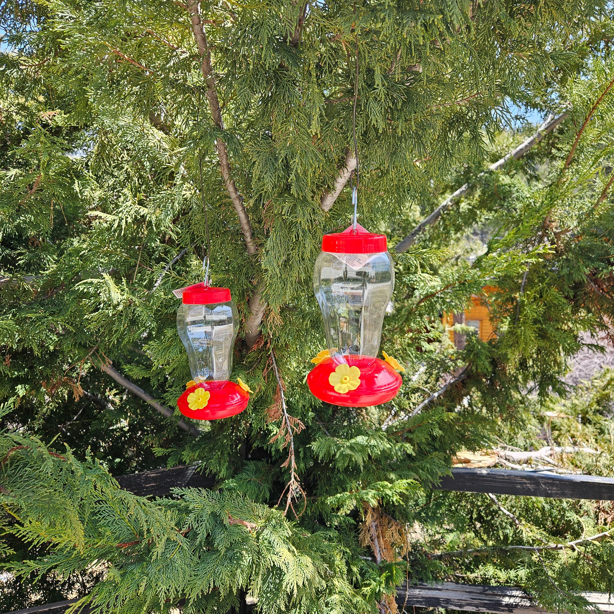 Plastic Hummingbird Feeder