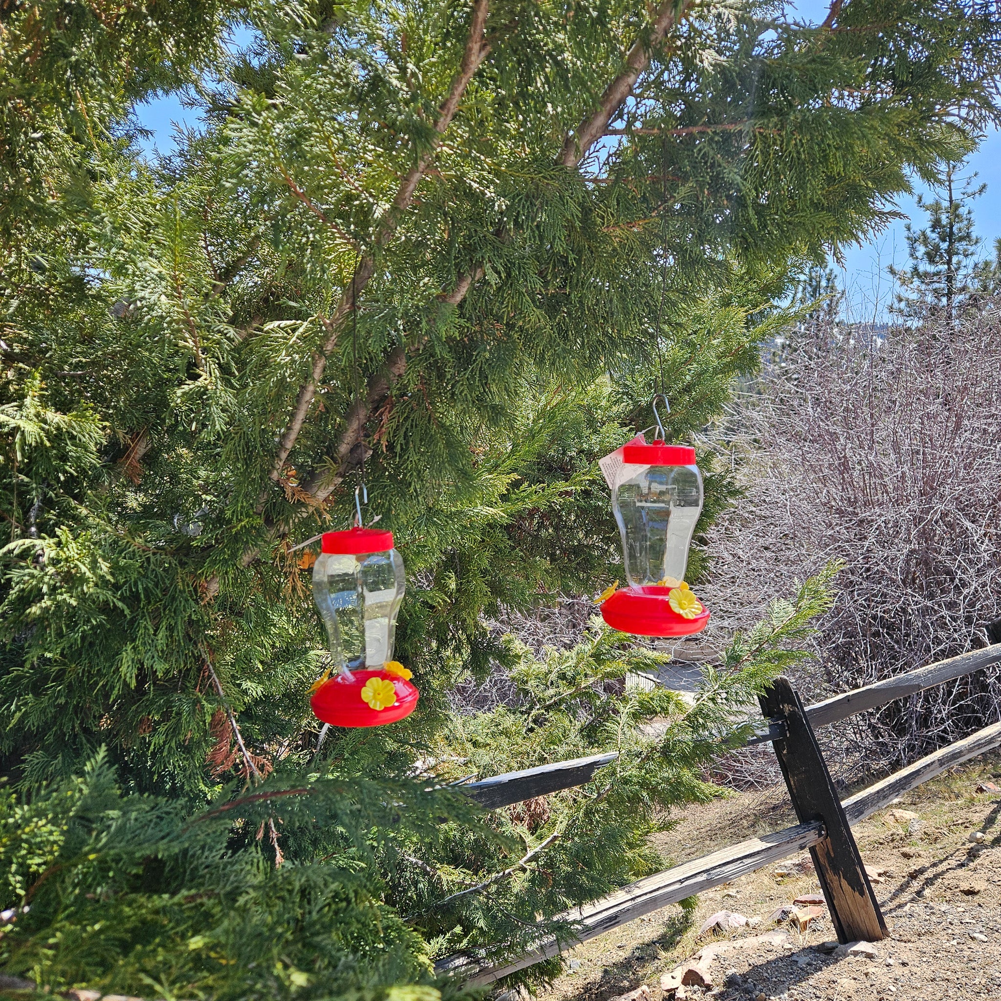 Plastic Hummingbird Feeder