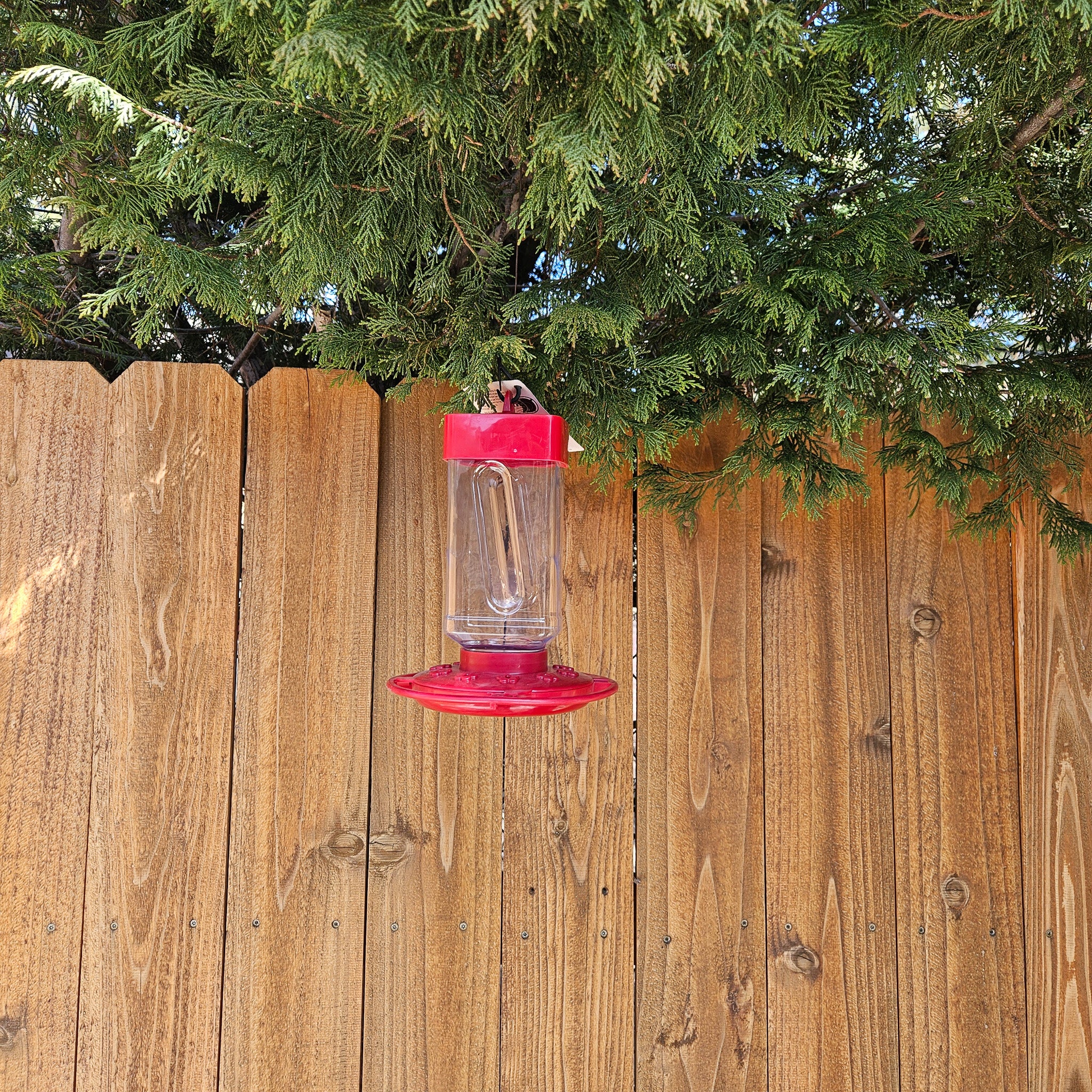 Plastic Round Bird Feeder