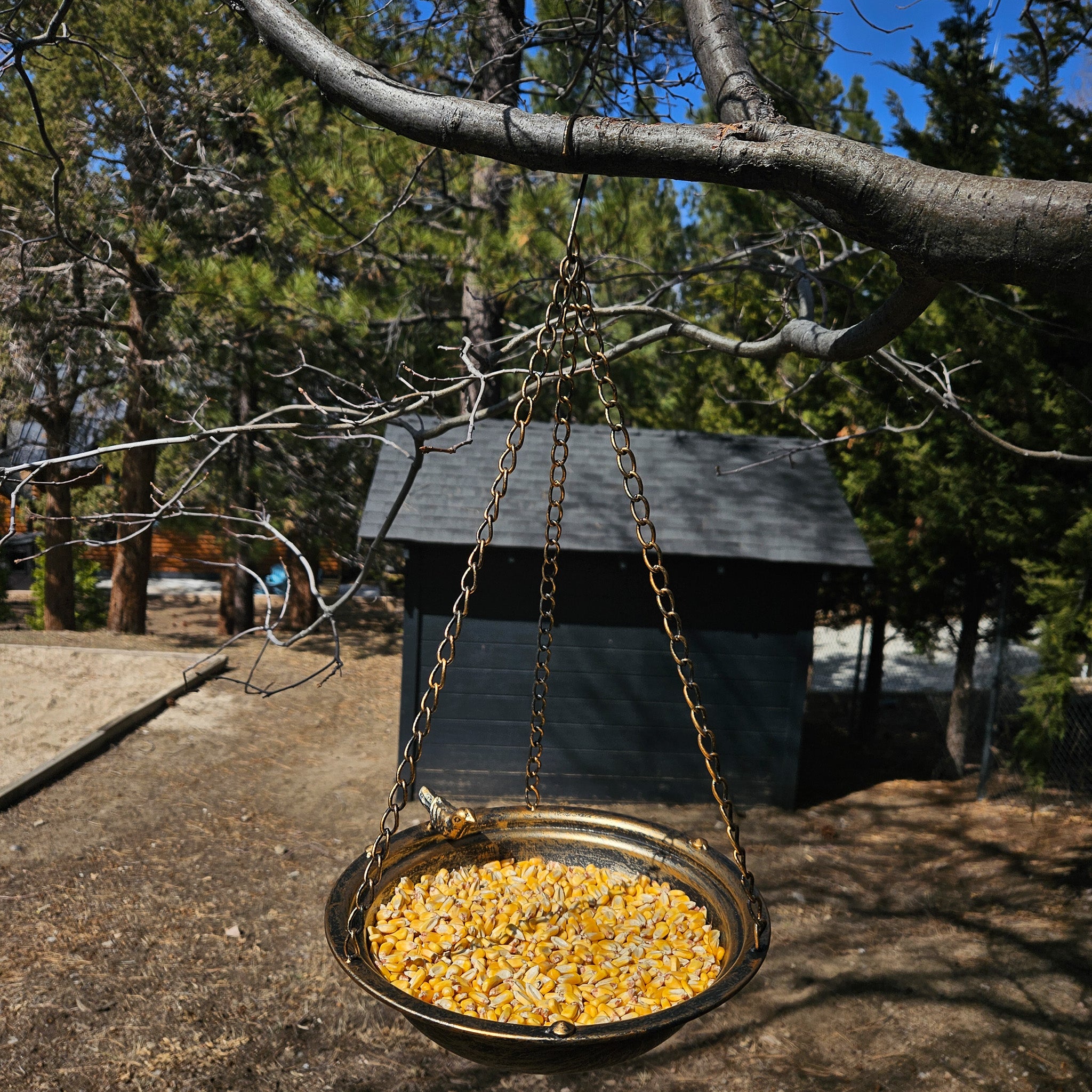 Metal Bronze Colored Circular Bird Feeder