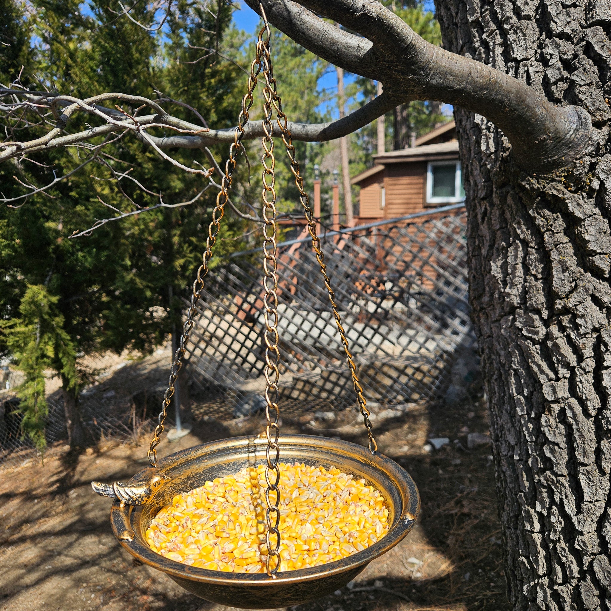 Metal Bronze Colored Circular Bird Feeder