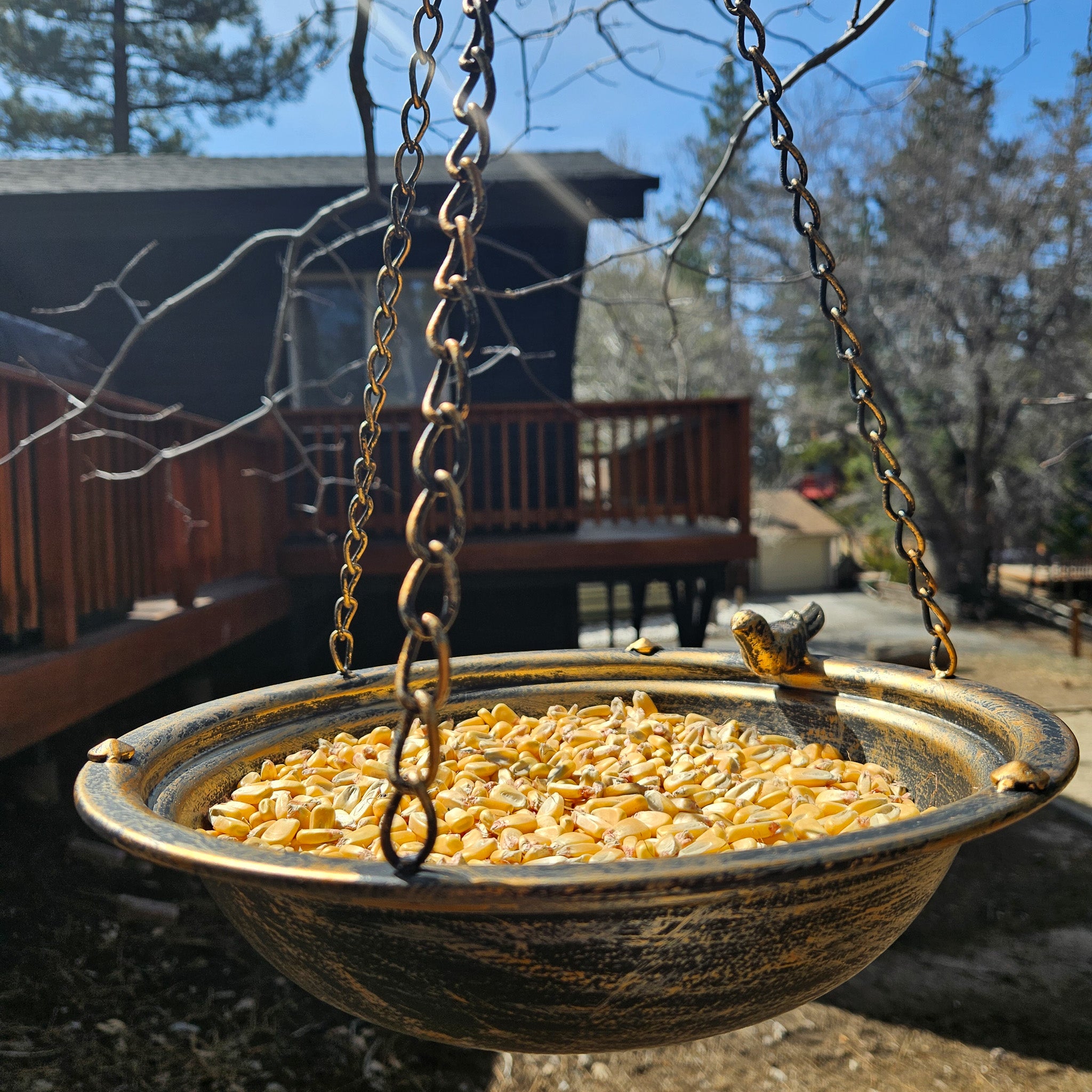 Metal Bronze Colored Circular Bird Feeder