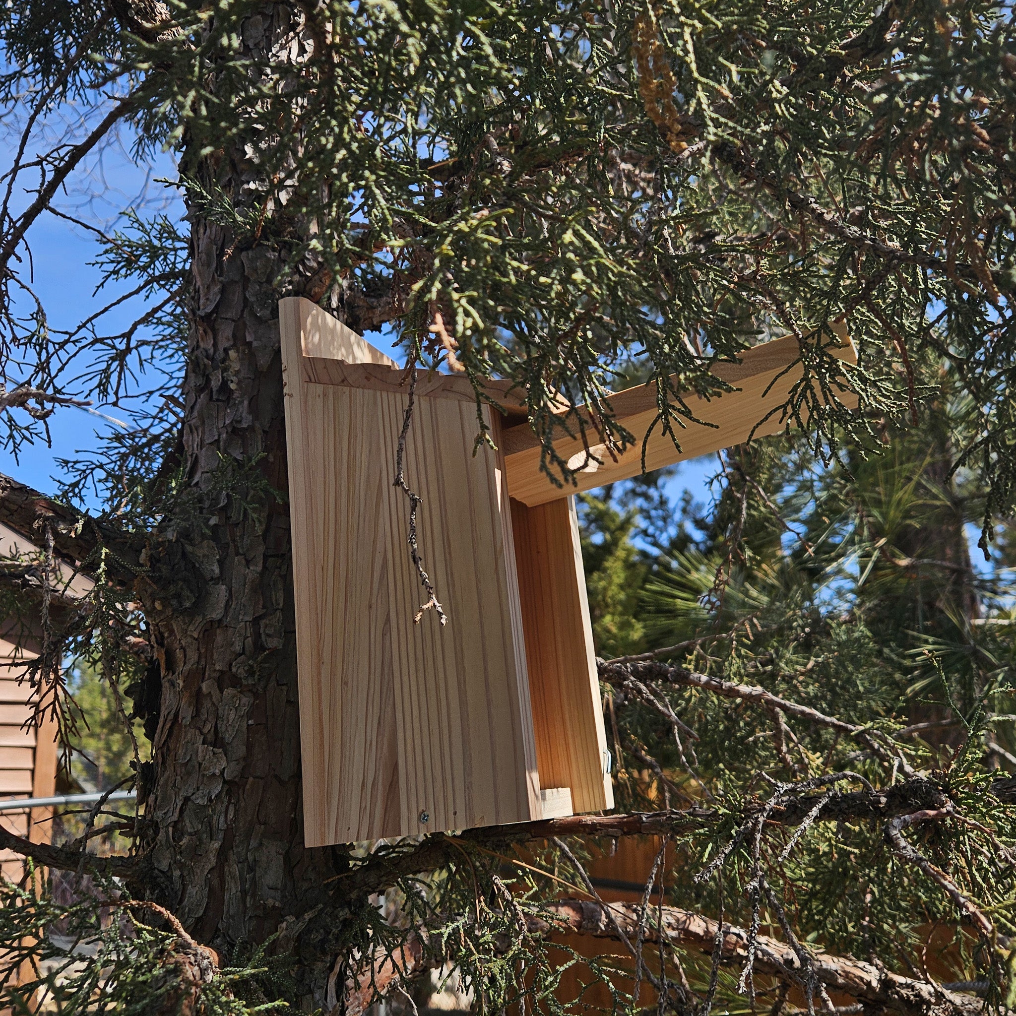 Raw Wood Bird House with Swinging Door