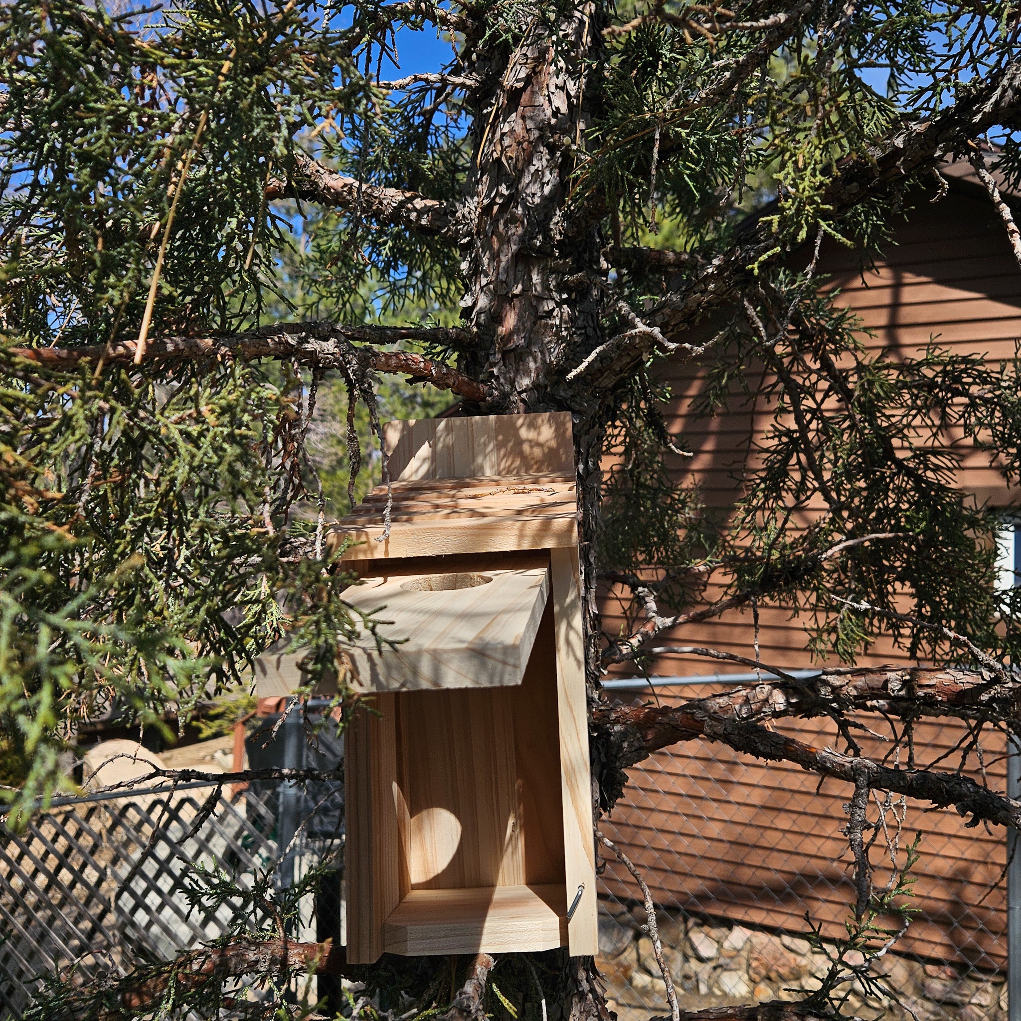 Raw Wood Bird House with Swinging Door