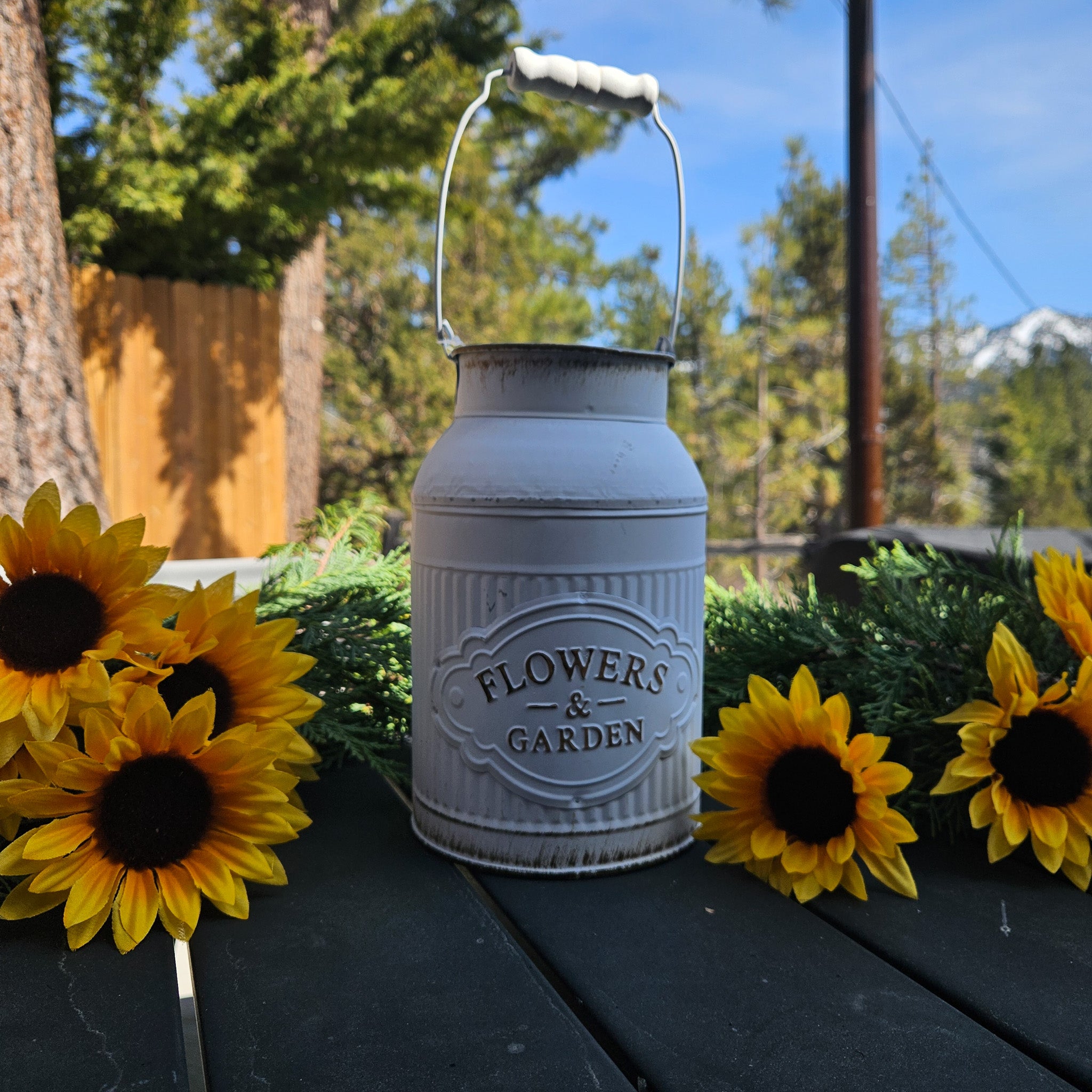 Round Metal Painted Flower & Garden Container with Handles