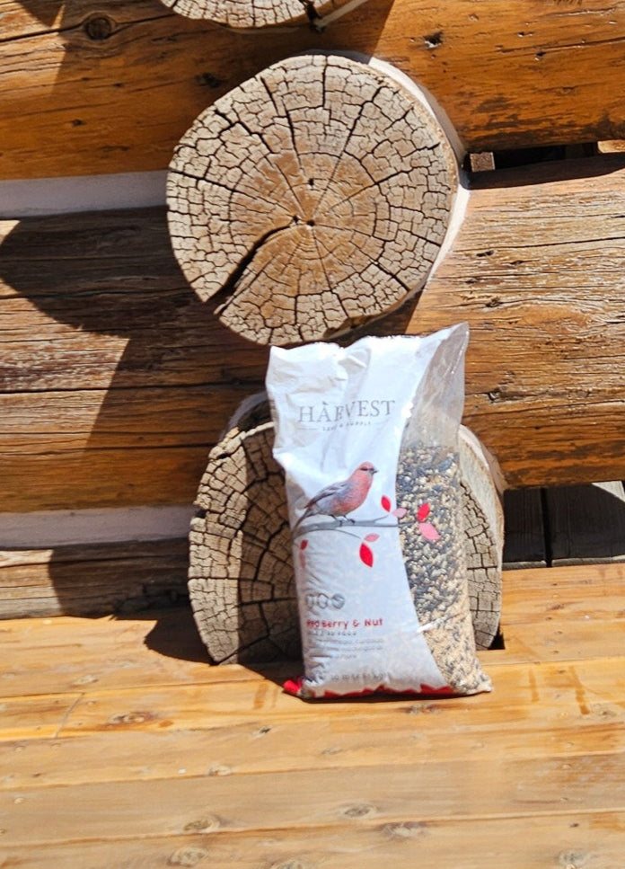 Red Berry & Nut Wild Bird Food 10lbs Bag