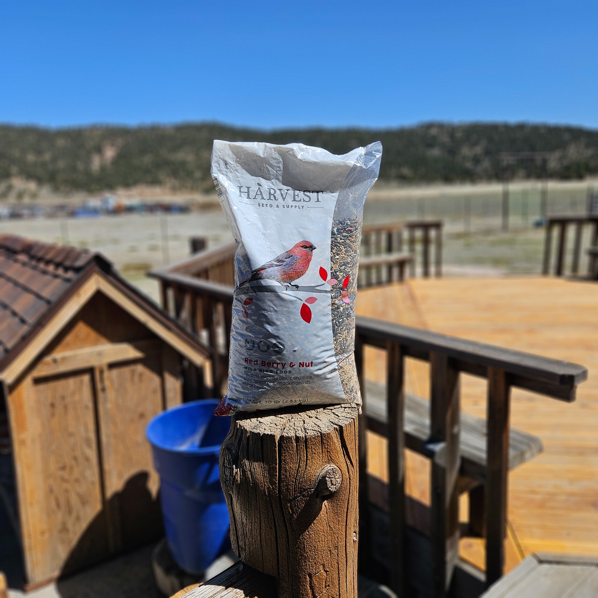 Red Berry & Nut Wild Bird Food 10lbs Bag