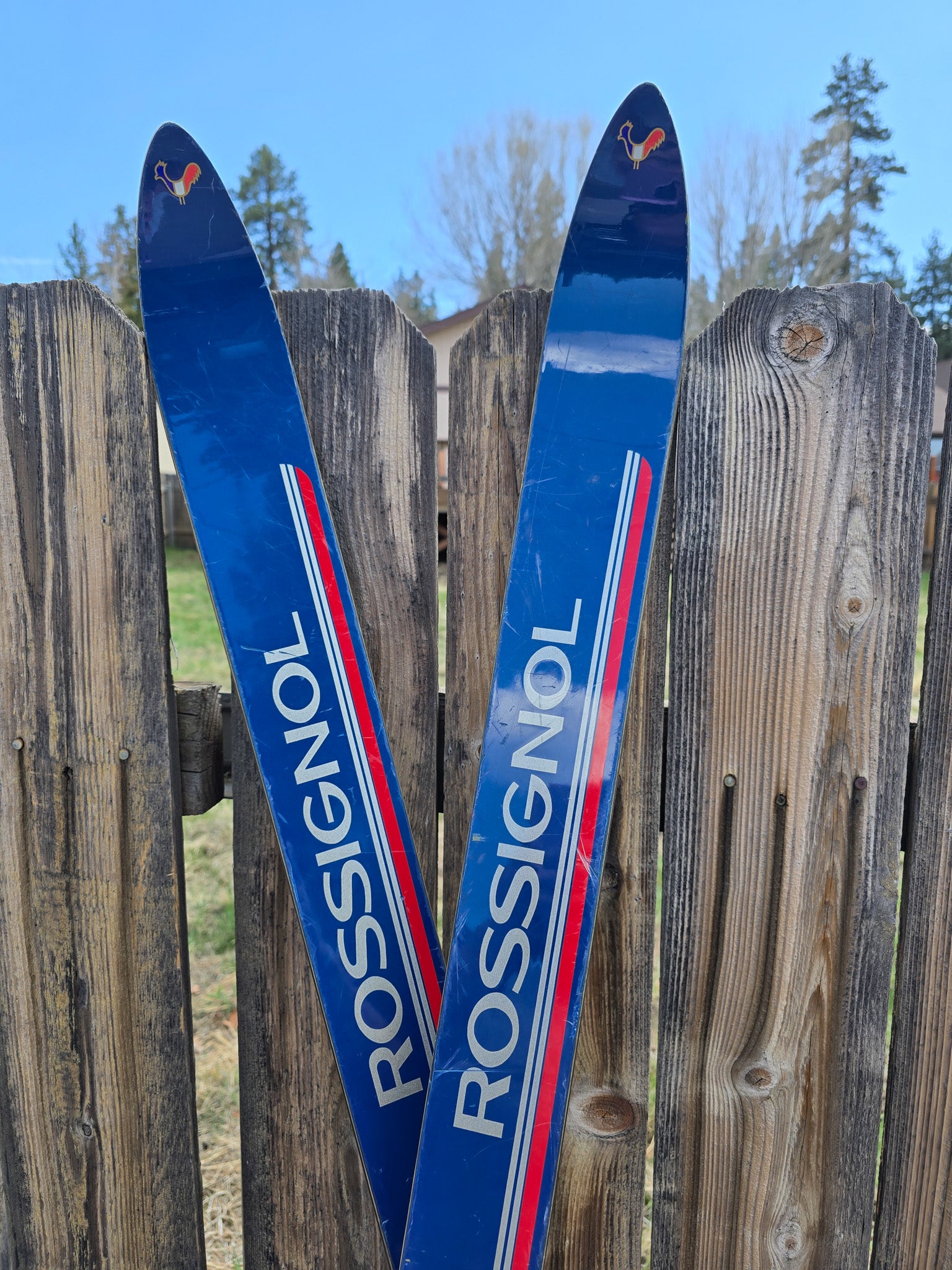 Rossignol Brand Skis SX944L With Tyrolia Bindings