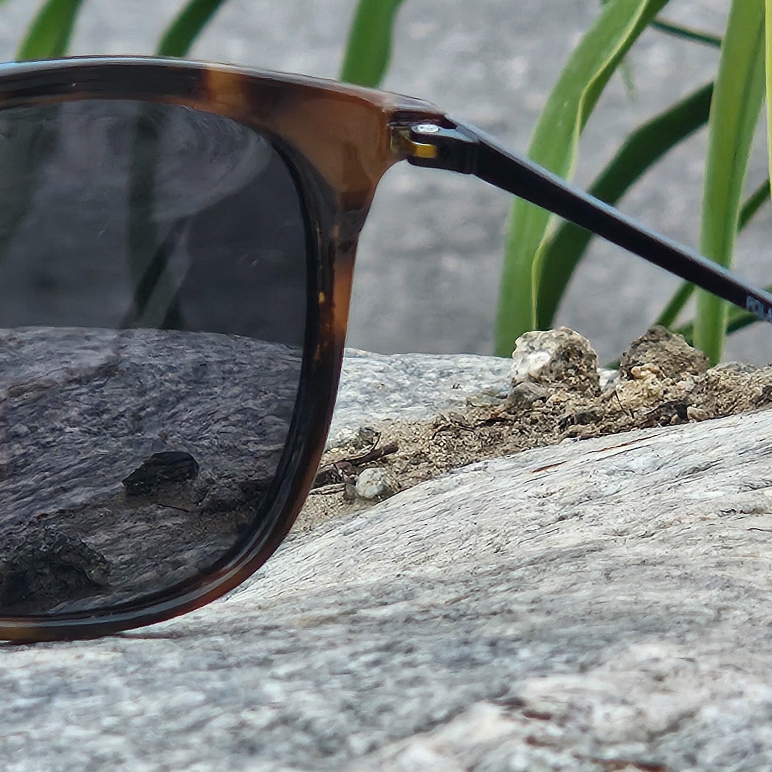 Foster Grant Marli Polarized for Digital Sunglasses