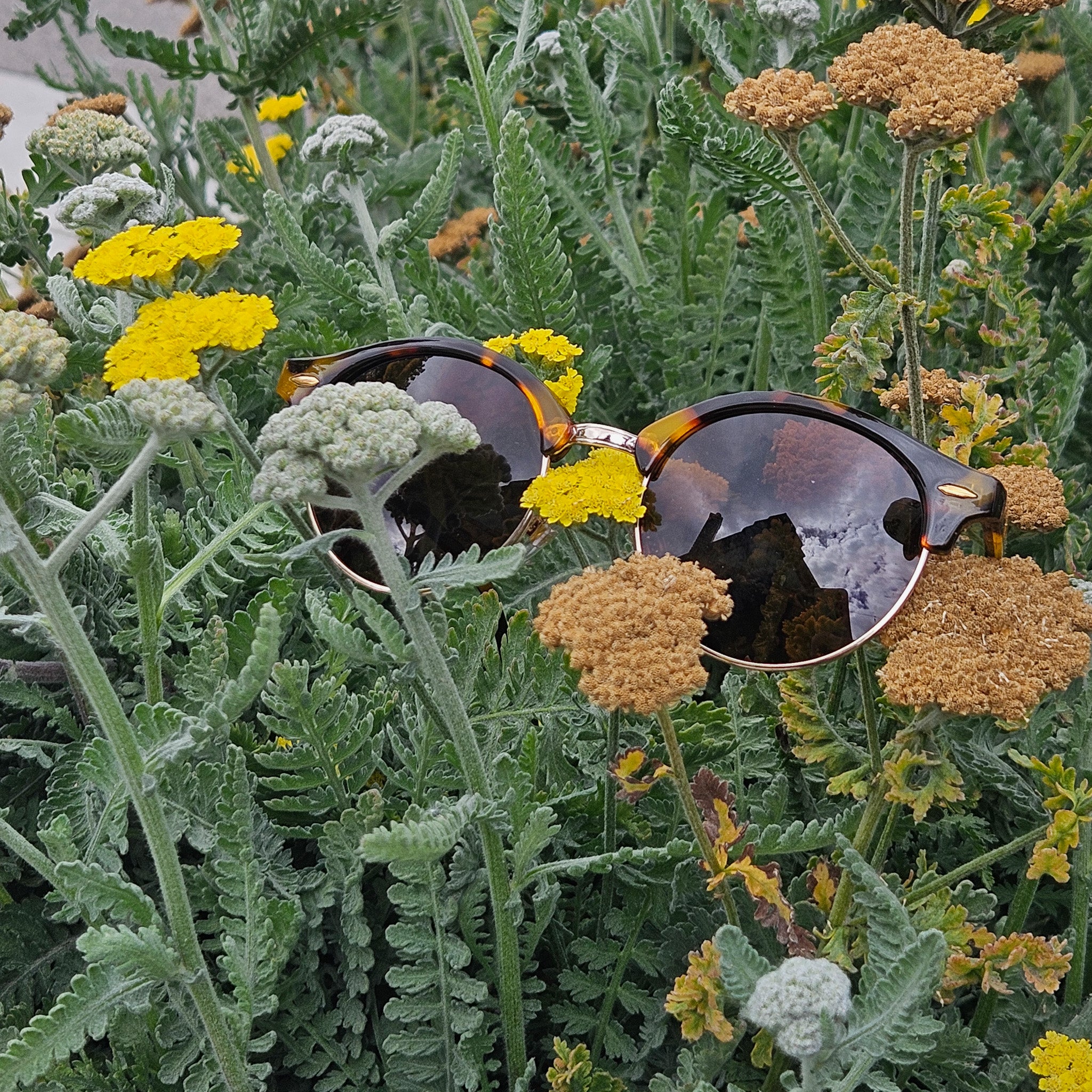 Foster Grant Max Block Brown Round Metal Frames Sunglasses