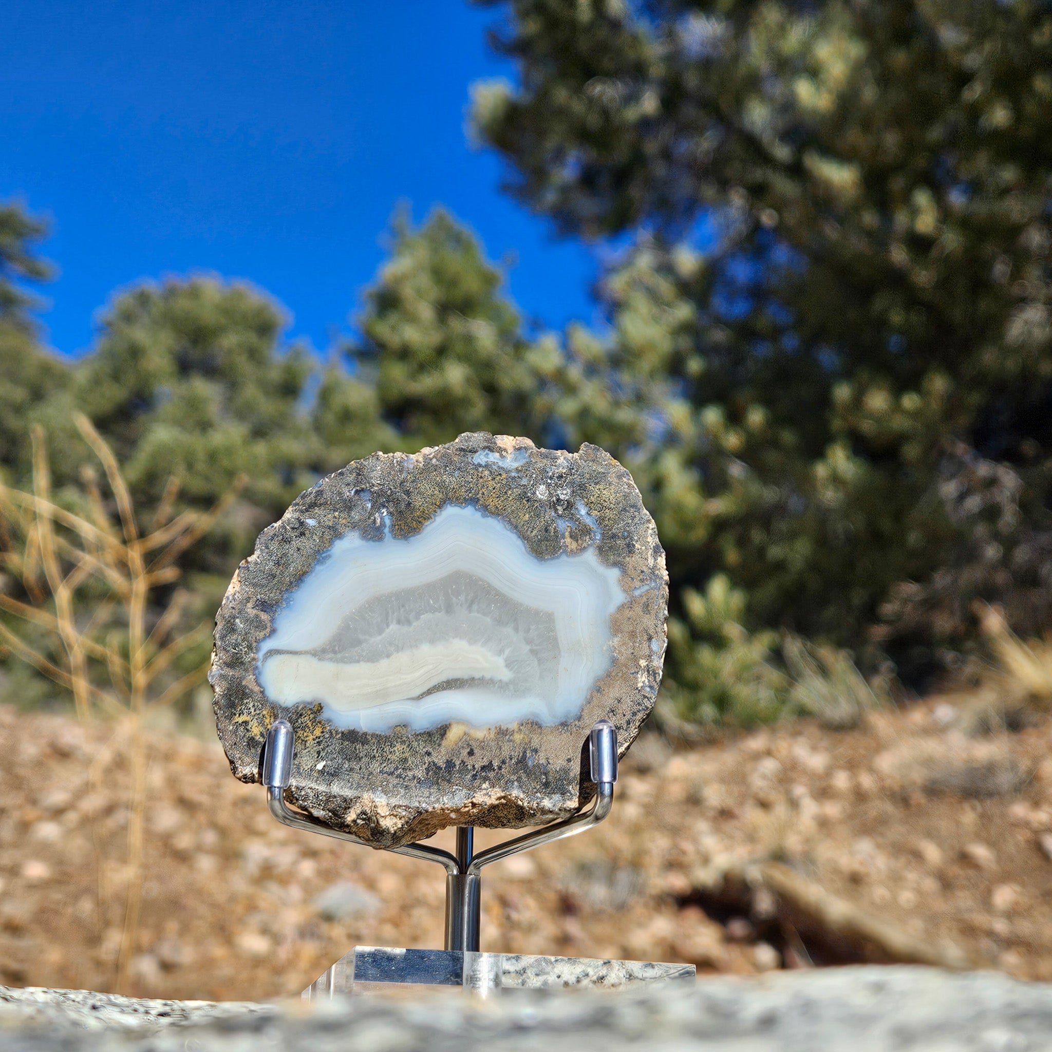 Stunning Blue Agate Geode