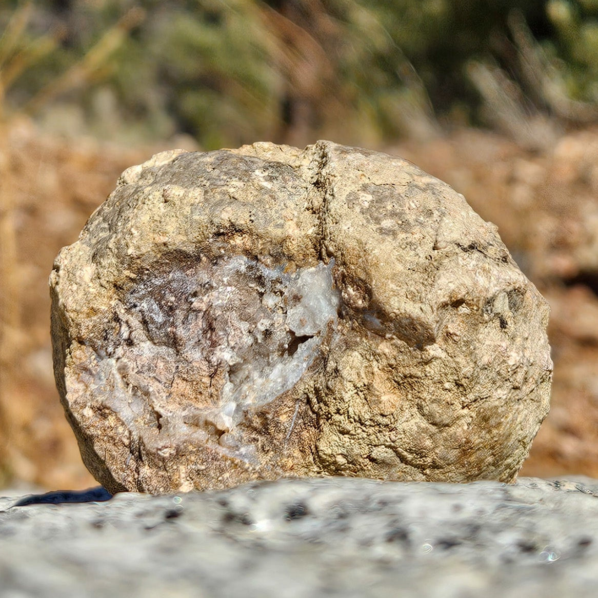 Lovley Natural Geode Rock