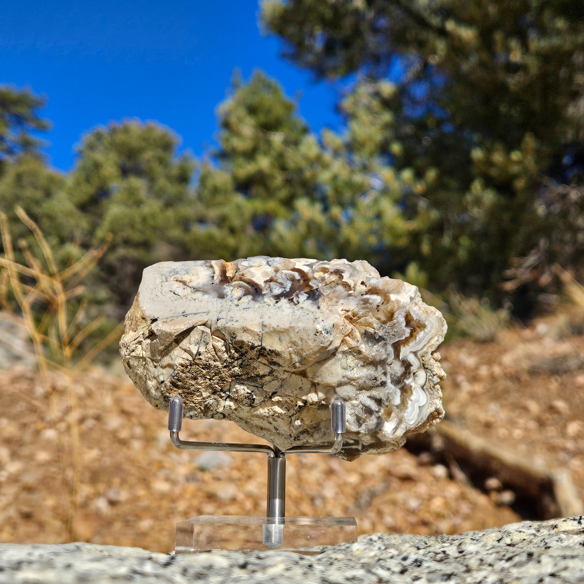Beautiful Raw Agate Stone