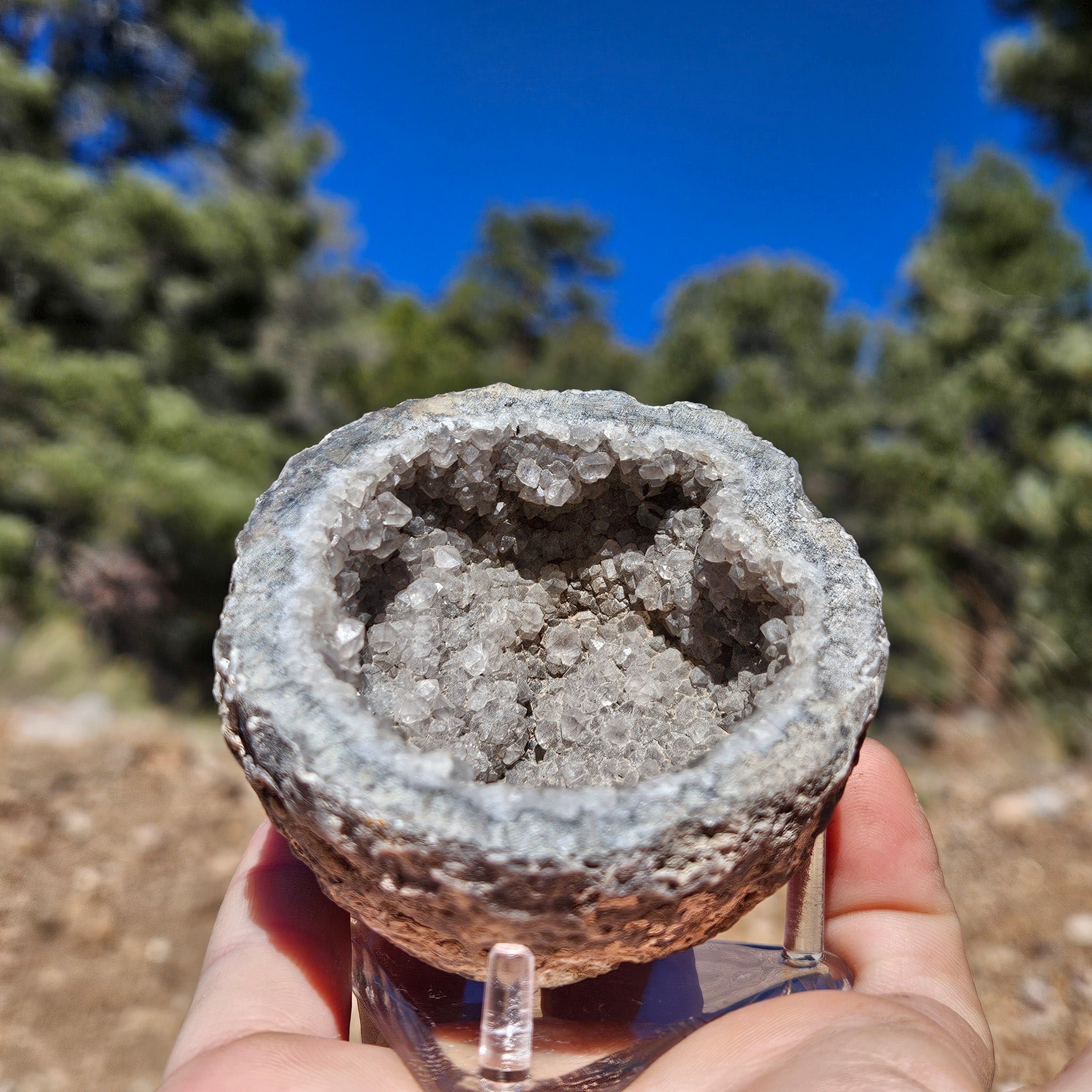 Captivating Gray Quartz Crystal Geode
