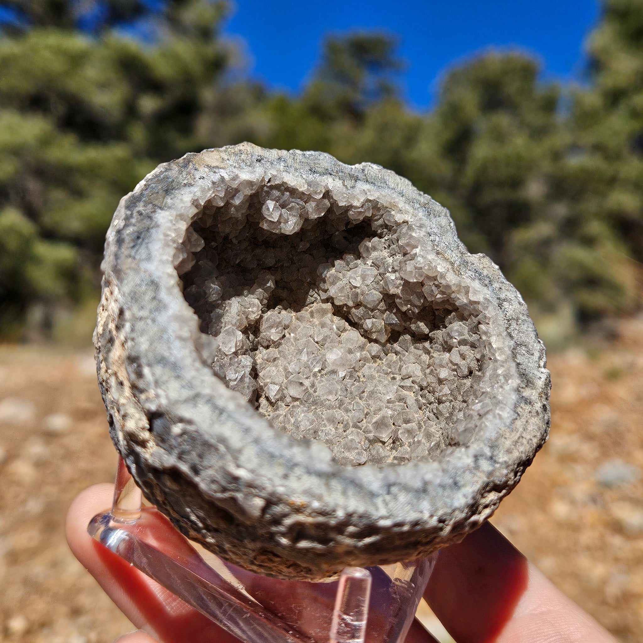Captivating Gray Quartz Crystal Geode