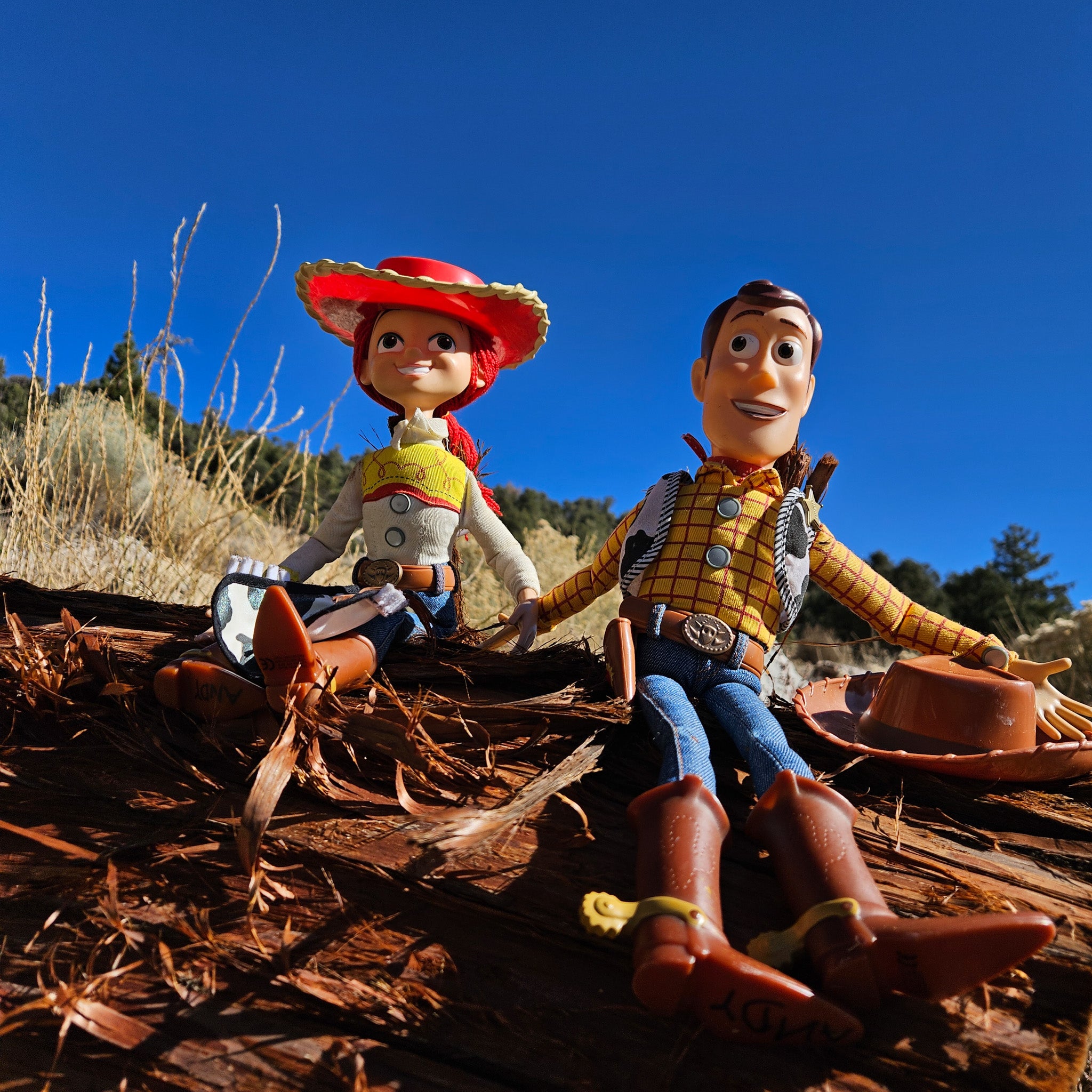 Disney Pixar Toy Story Woody and Jessie Doll Figure