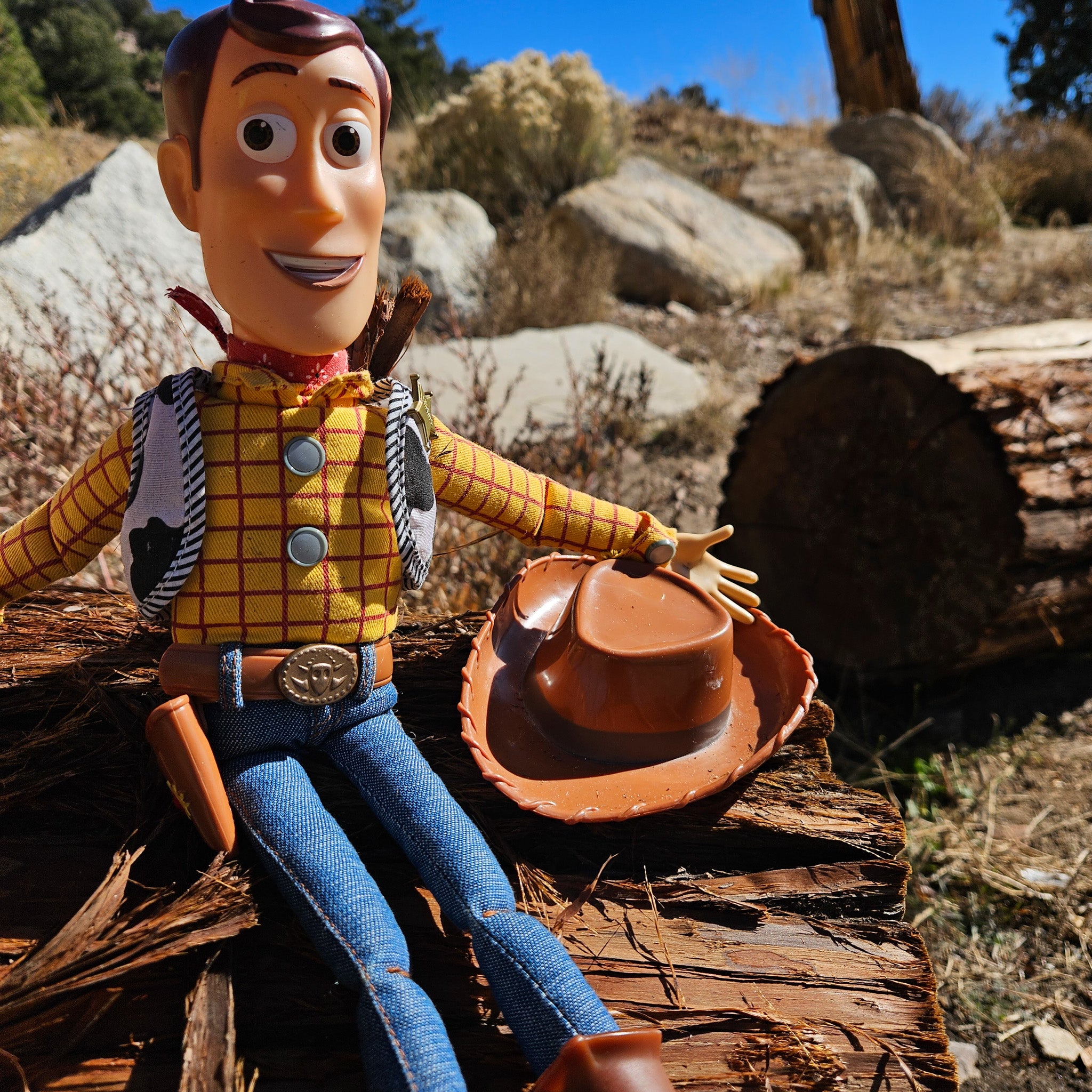Disney Pixar Toy Story Woody and Jessie Doll Figure