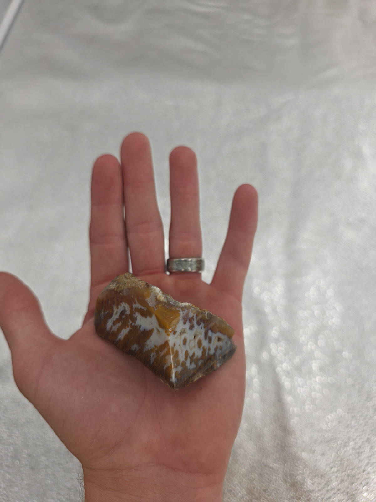 Agua Nueva Moss Agate