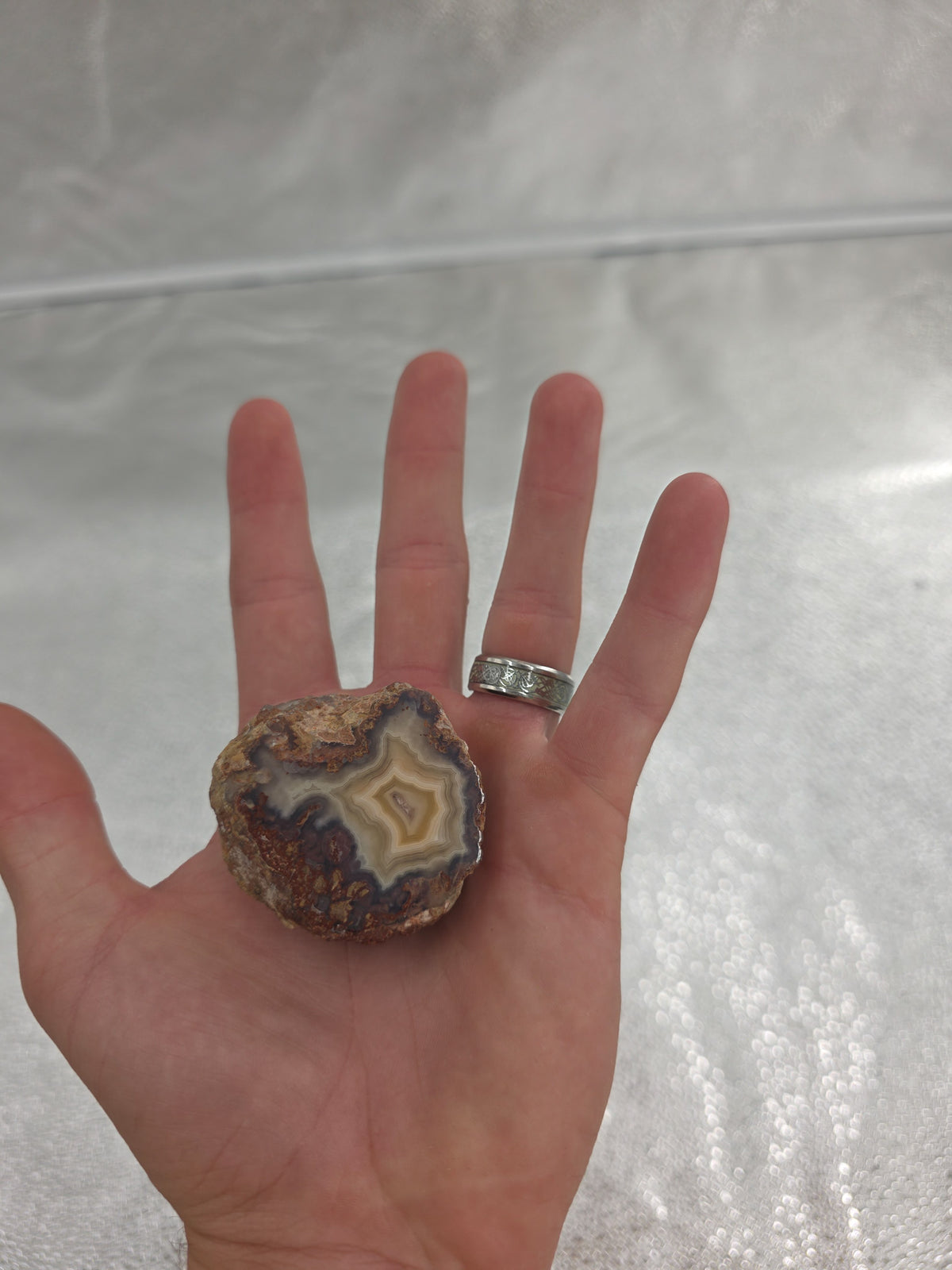 Amazing Laguna Agate Half Polished Stone