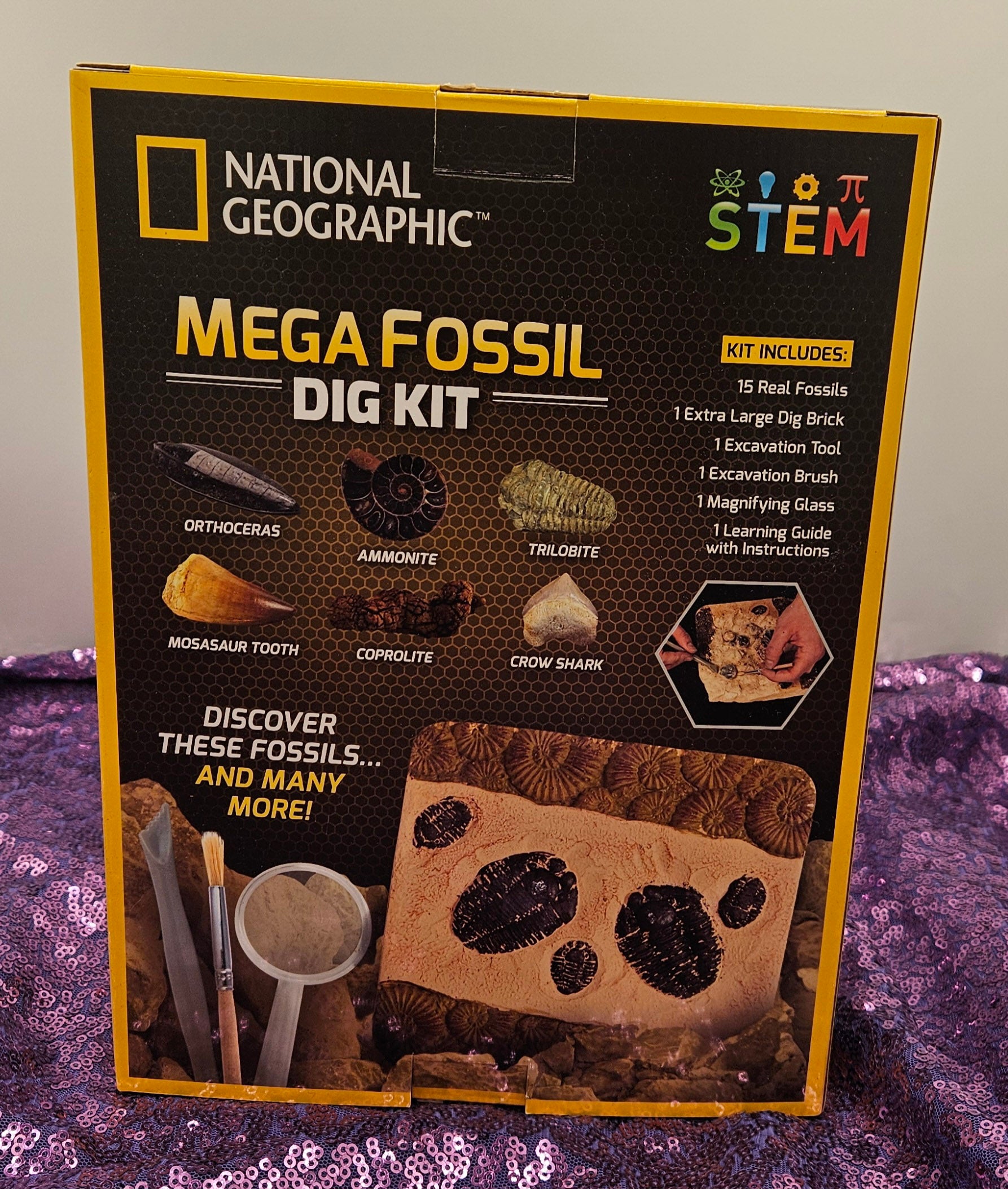 National Geographic Mega Fossil Dig Kit