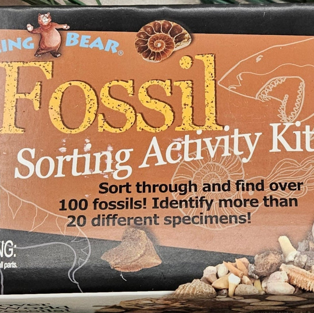 Dancing Bear Fossil Sorting Activity Kit