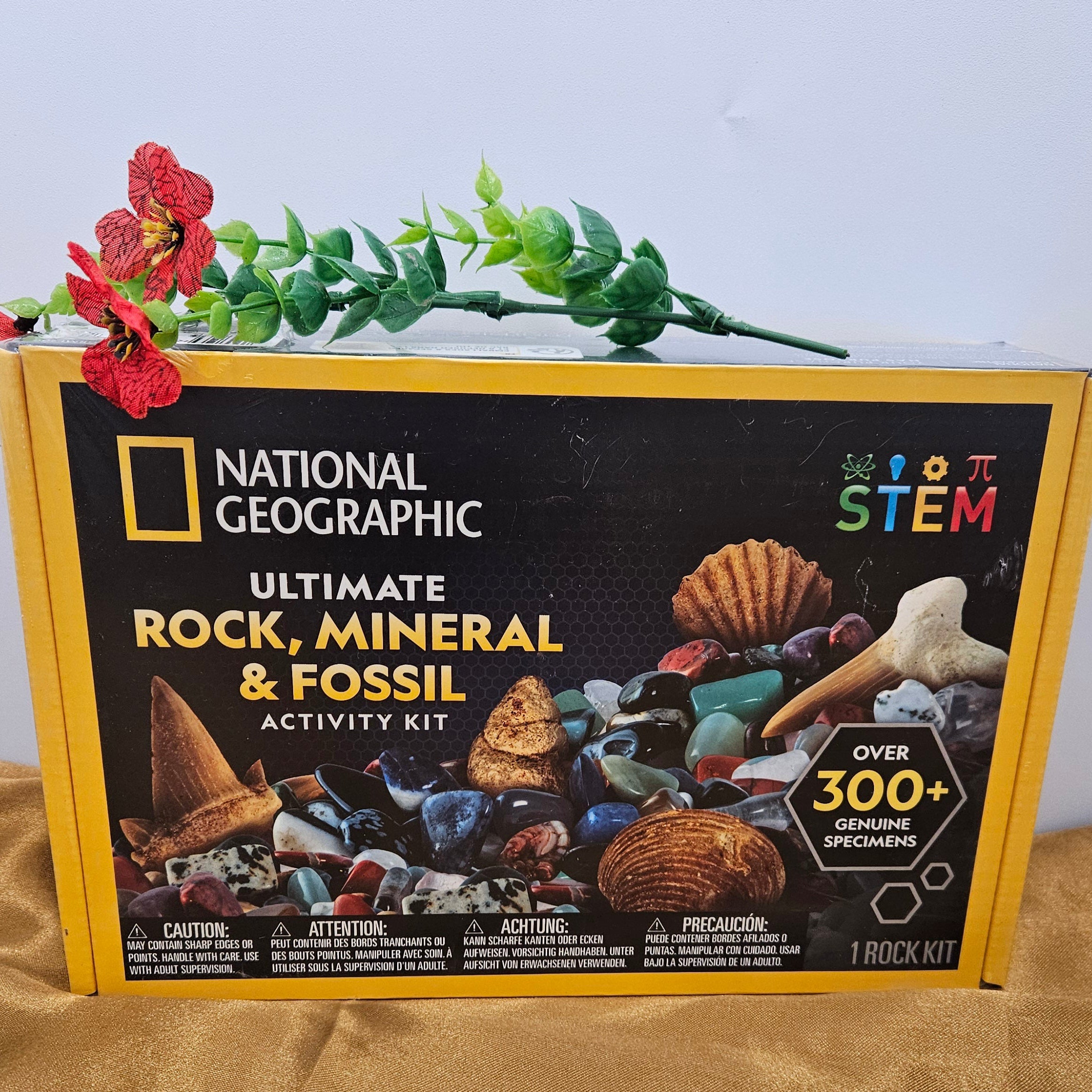 National Geographic Ultimate Rock, Mineral and Fossil Activity Kit