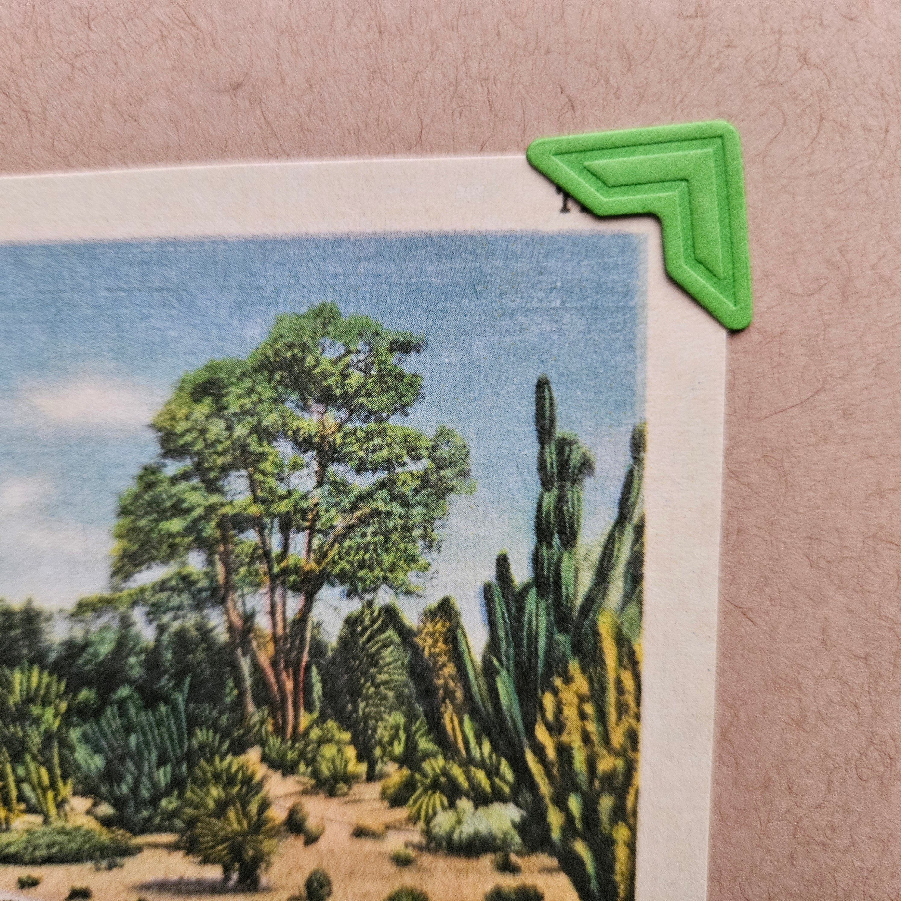 Beautifully Hand Crafted Custom Created Greeting Card Series by Diane Stegman "Cactus Beds, Southern California"