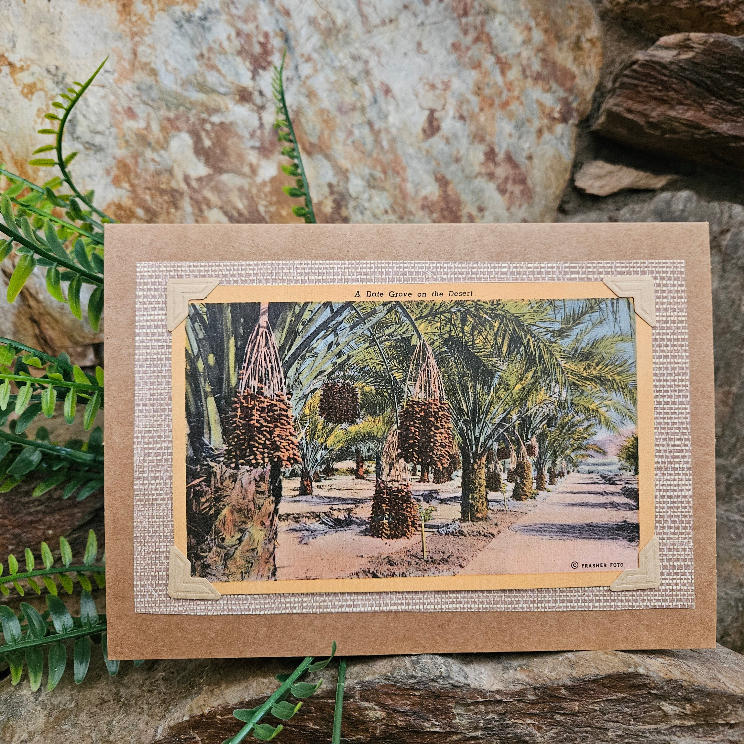 Beautifully Hand Crafted Custom Created Greeting Card Series by Diane Stegman "A Date Grove in the Desert "