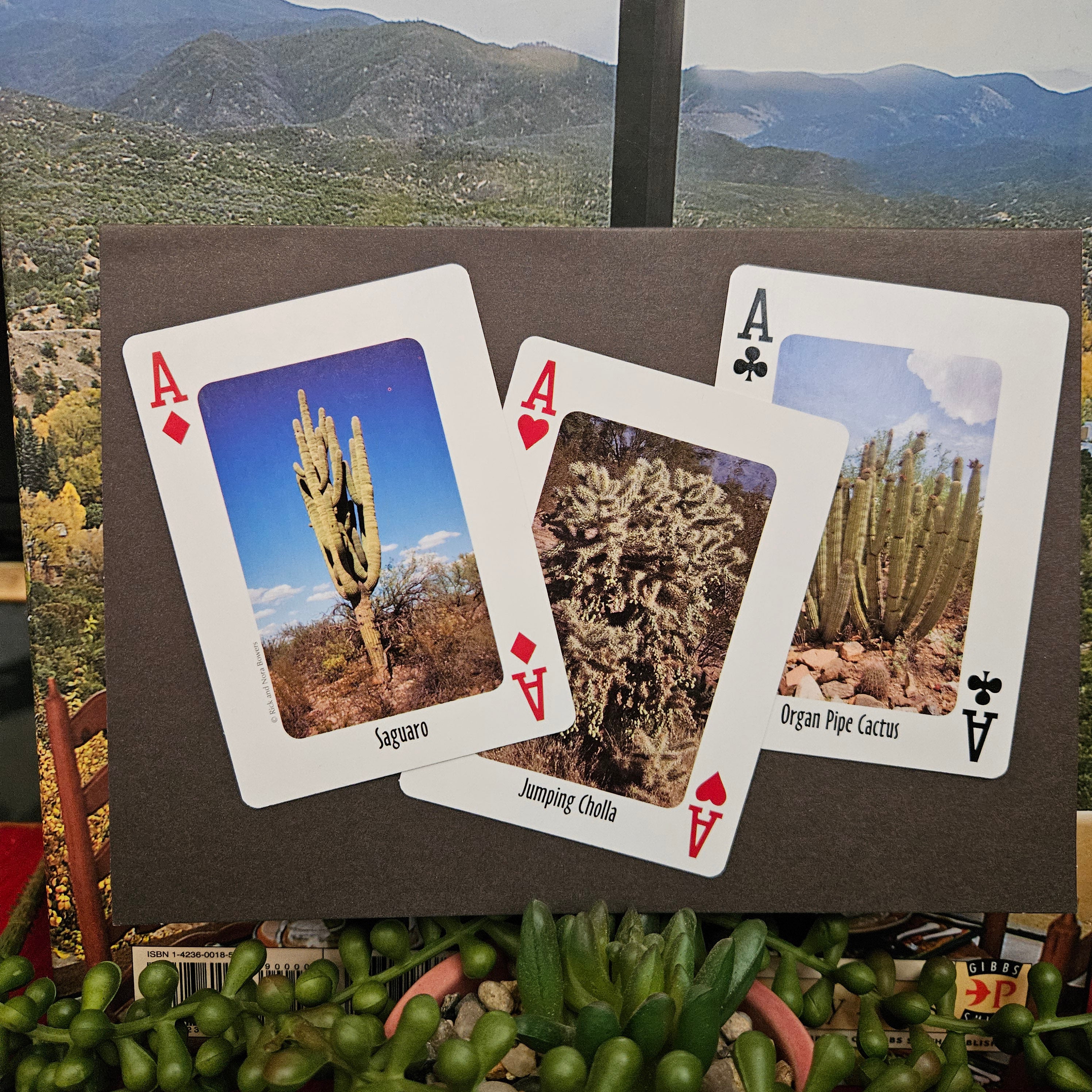 Beautifully Hand Crafted Custom Created Greeting Card Series by Diane Stegman "3 Aces Cactus"